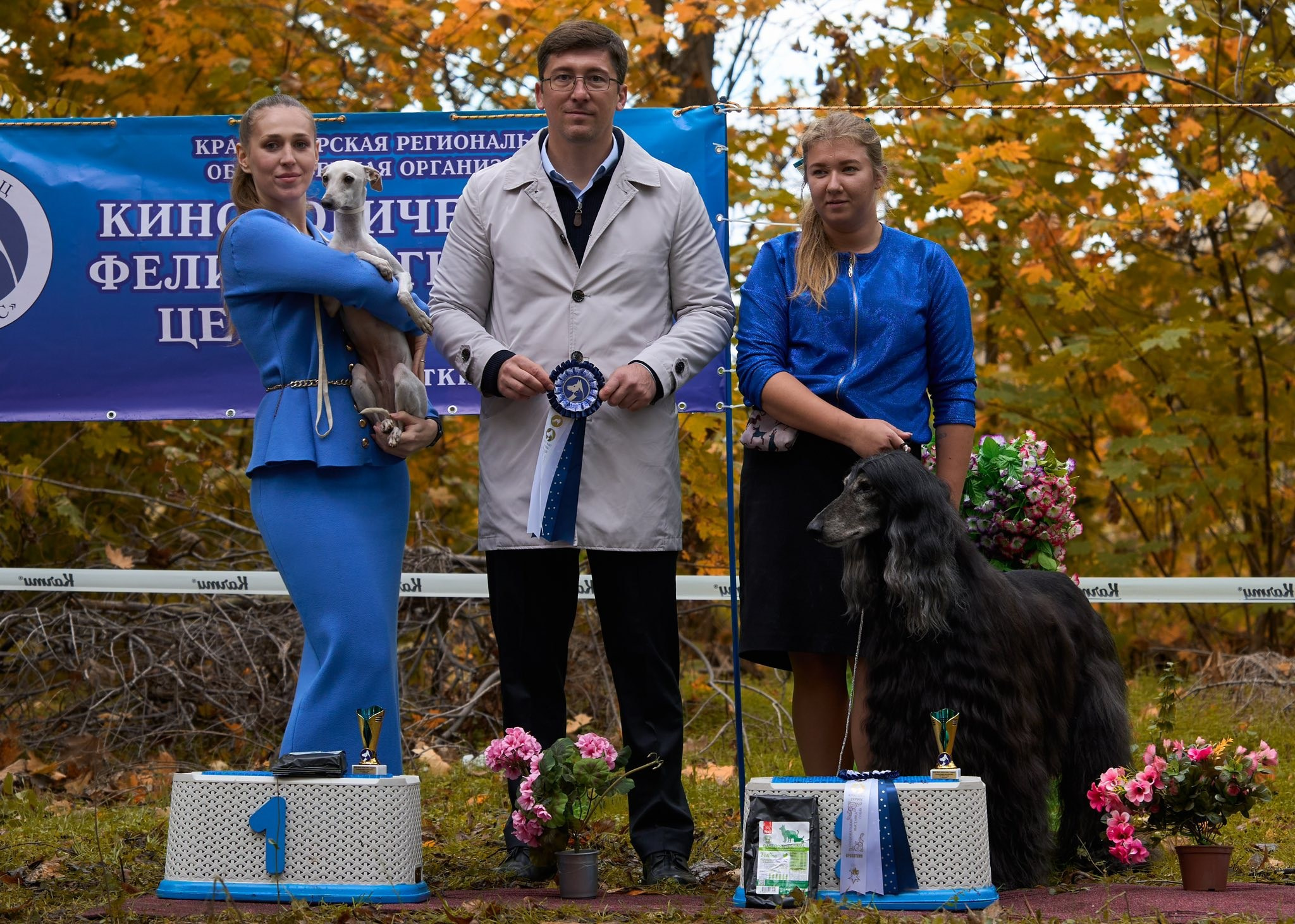 Профессиональный питомник левреток РКФ/FCI ASTI SAPPHIRE 💎 Сочи|Санкт-Петербург