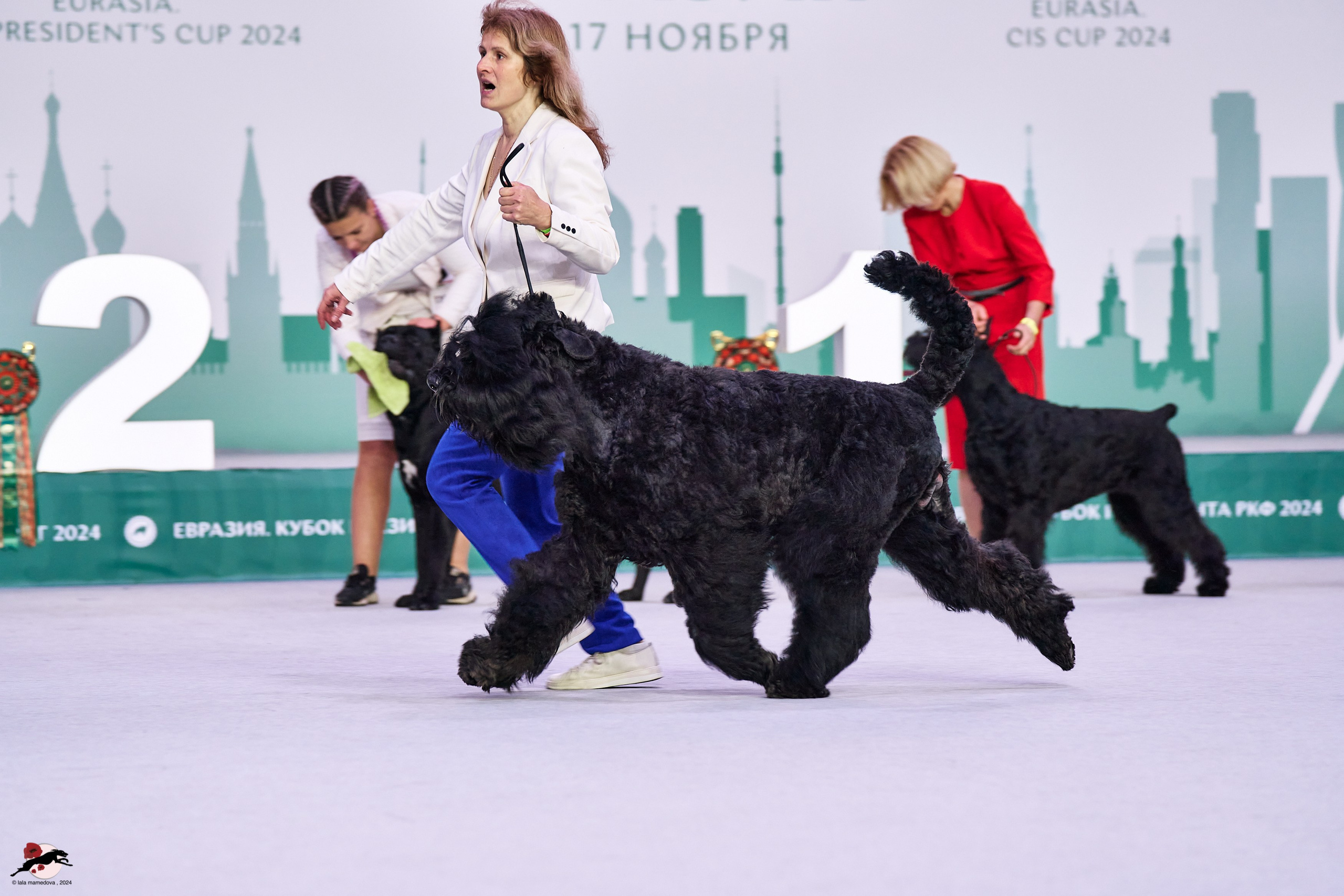 17.11.2024 «ЕВРАЗИЯ. КУБОК СНГ 2024»