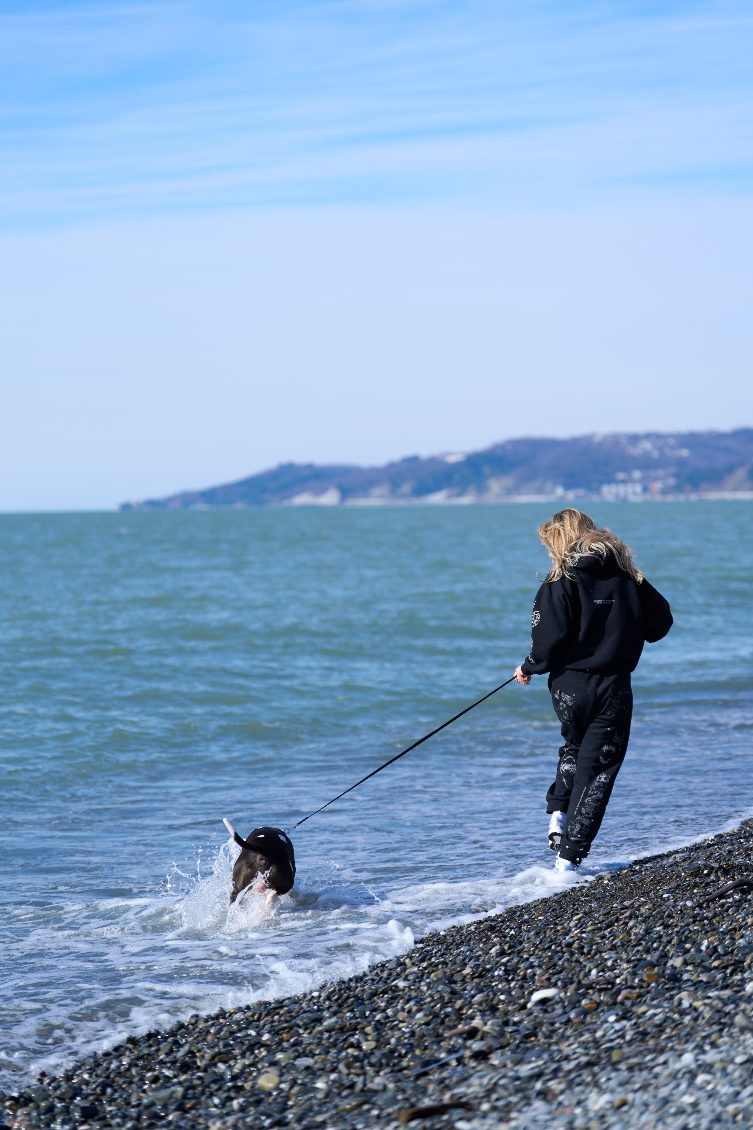 художественная фотосессия с собакой на море в сочи