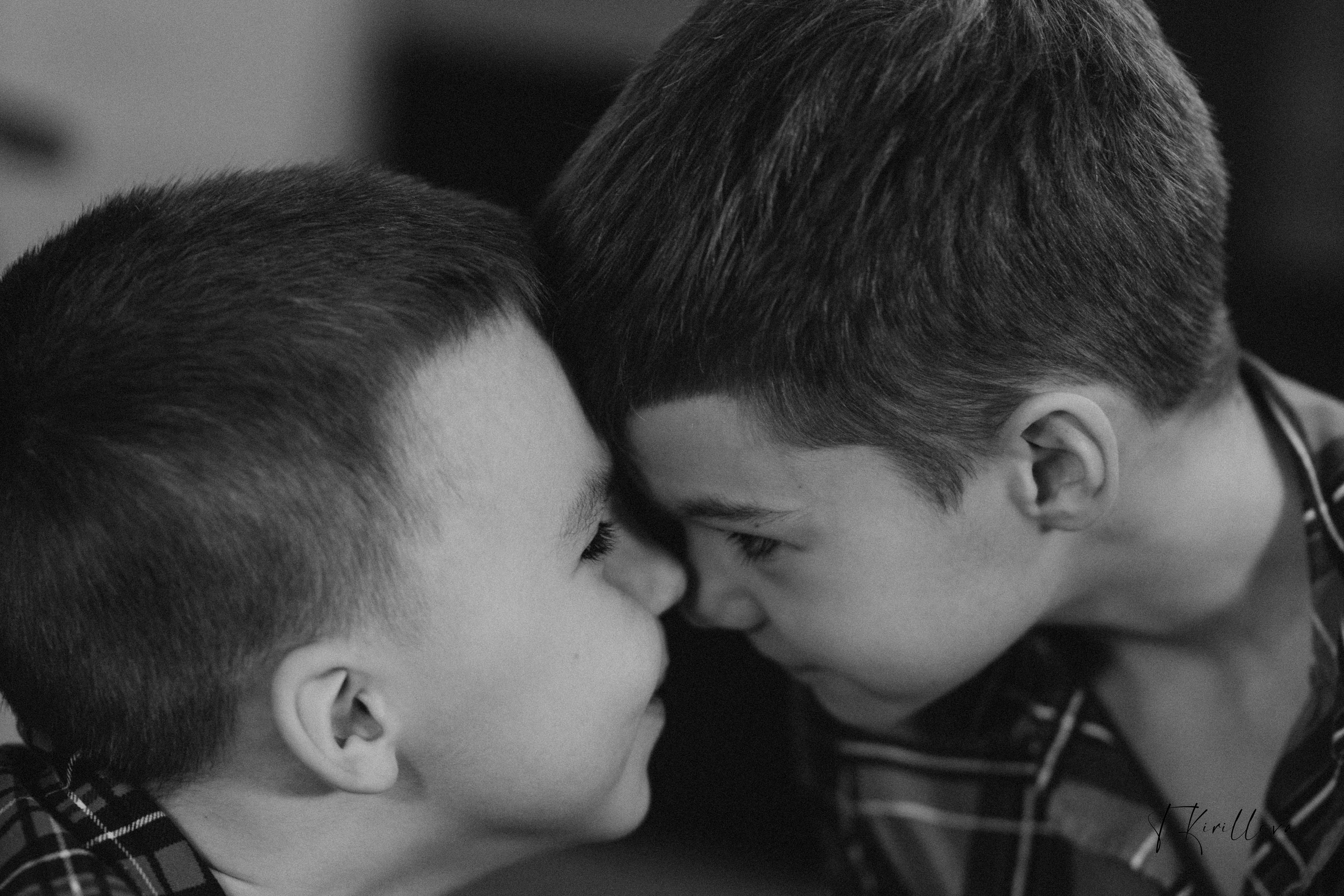 Новогоднее утро. Фотограф-анималист в Москве Кириллова Татьяна