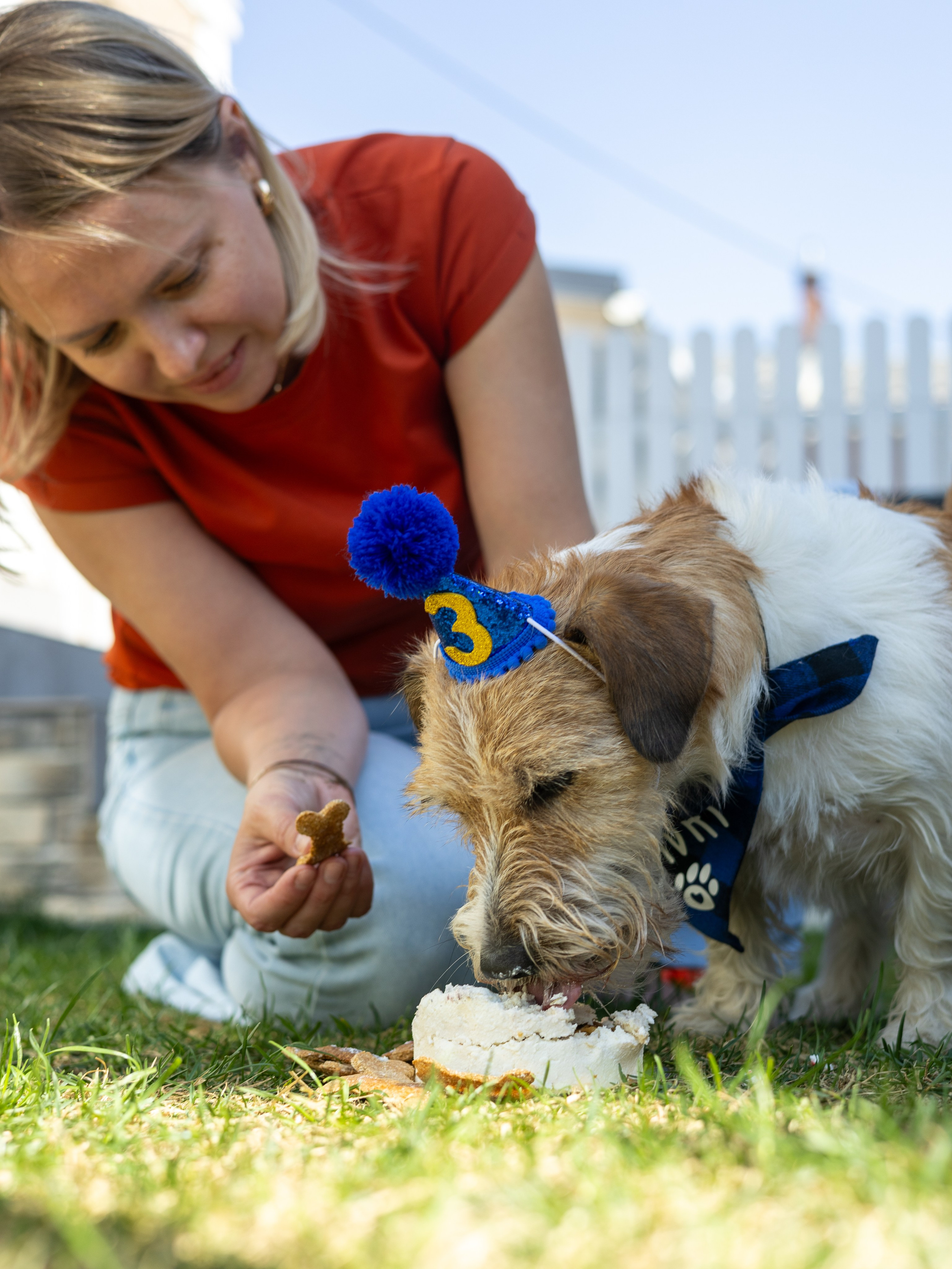 День рождение Зенита. Фотограф-анималист в Москве Кириллова Татьяна