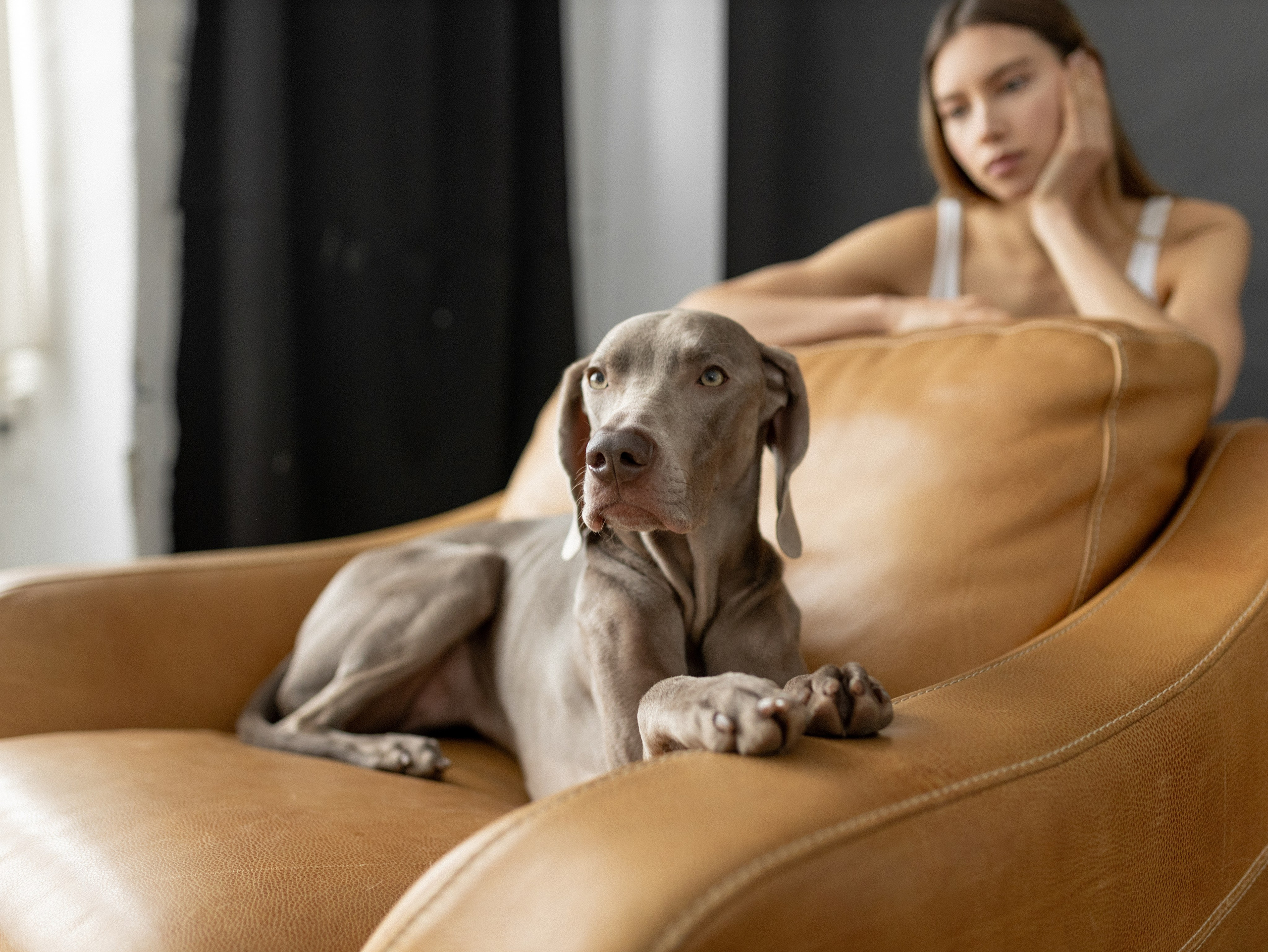 Сенча и Даша. Фотограф-анималист в Москве Кириллова Татьяна