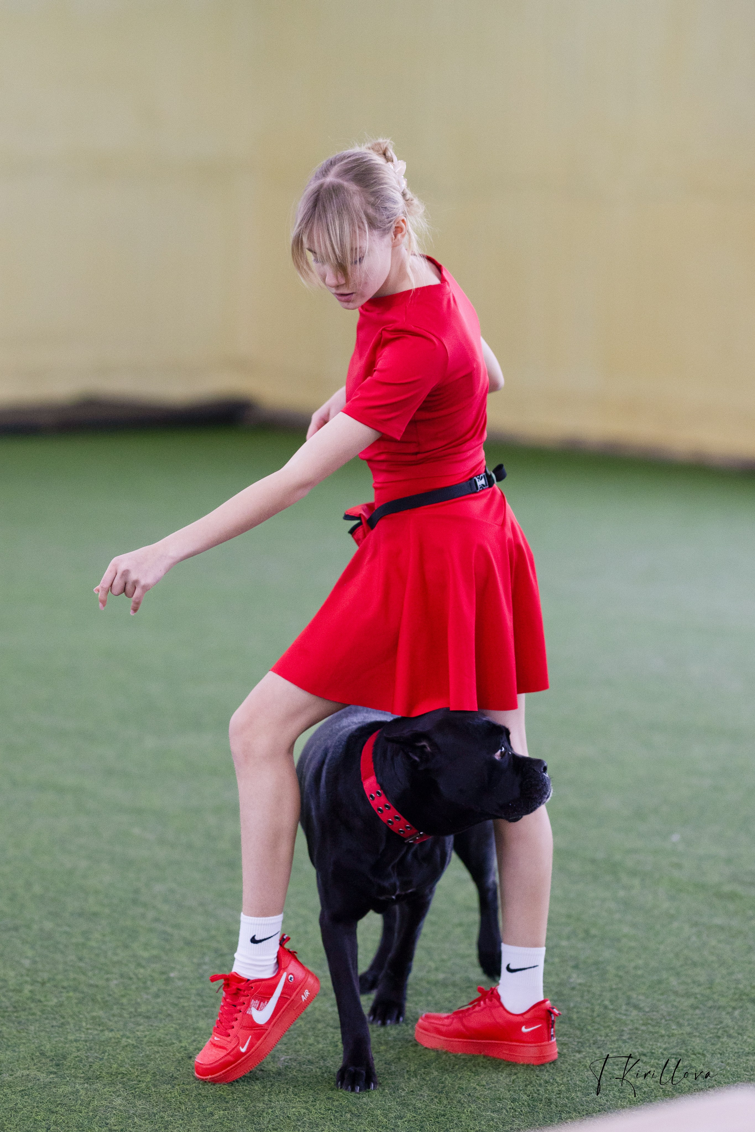 Соревнования танцы. Фотограф-анималист в Москве Кириллова Татьяна