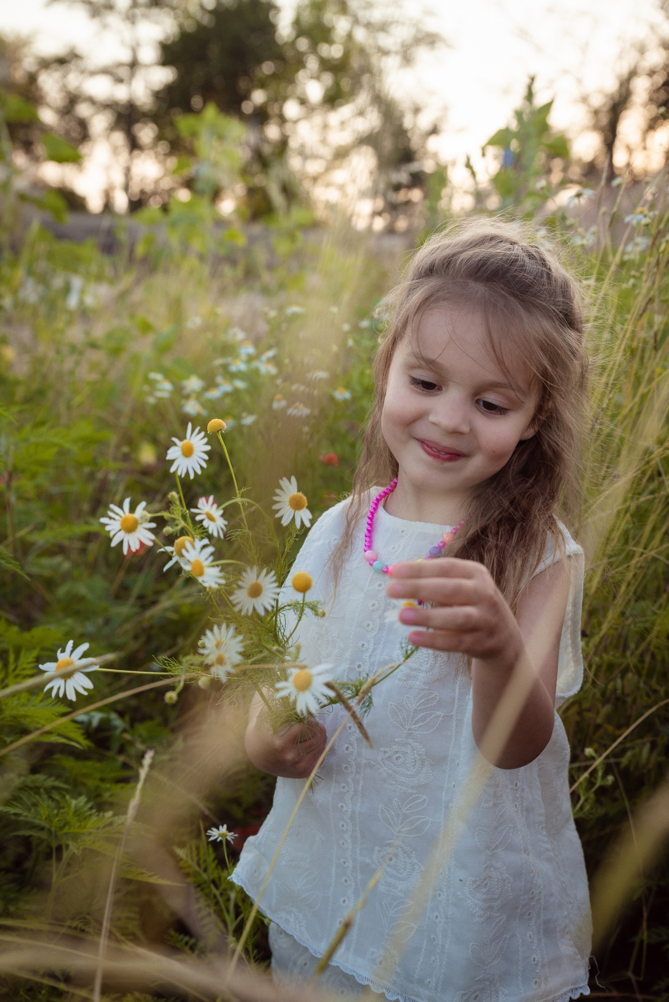 Ромашки. Семейный Фотограф в Краснодаре и крае