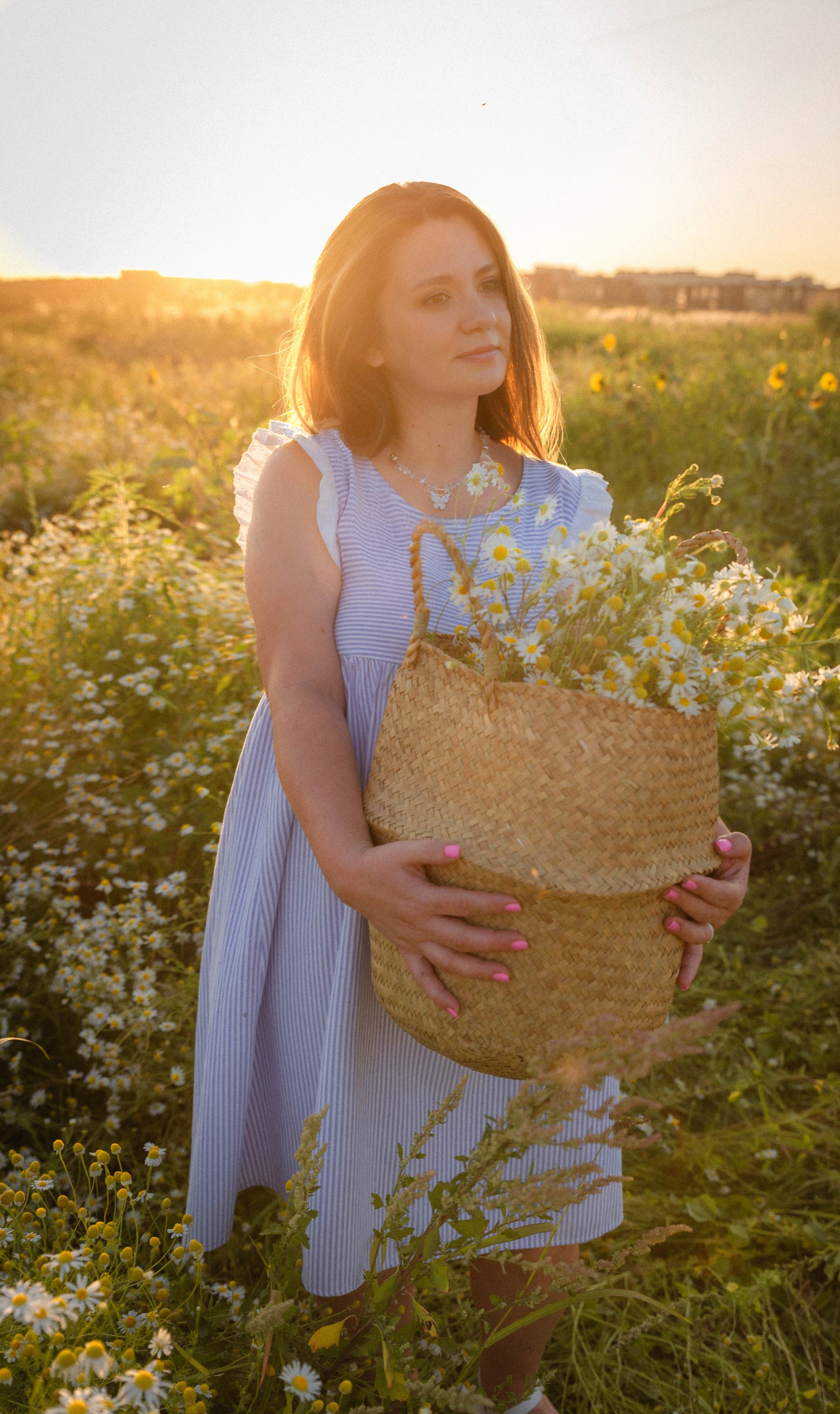 Ромашки. Семейный Фотограф в Краснодаре и крае