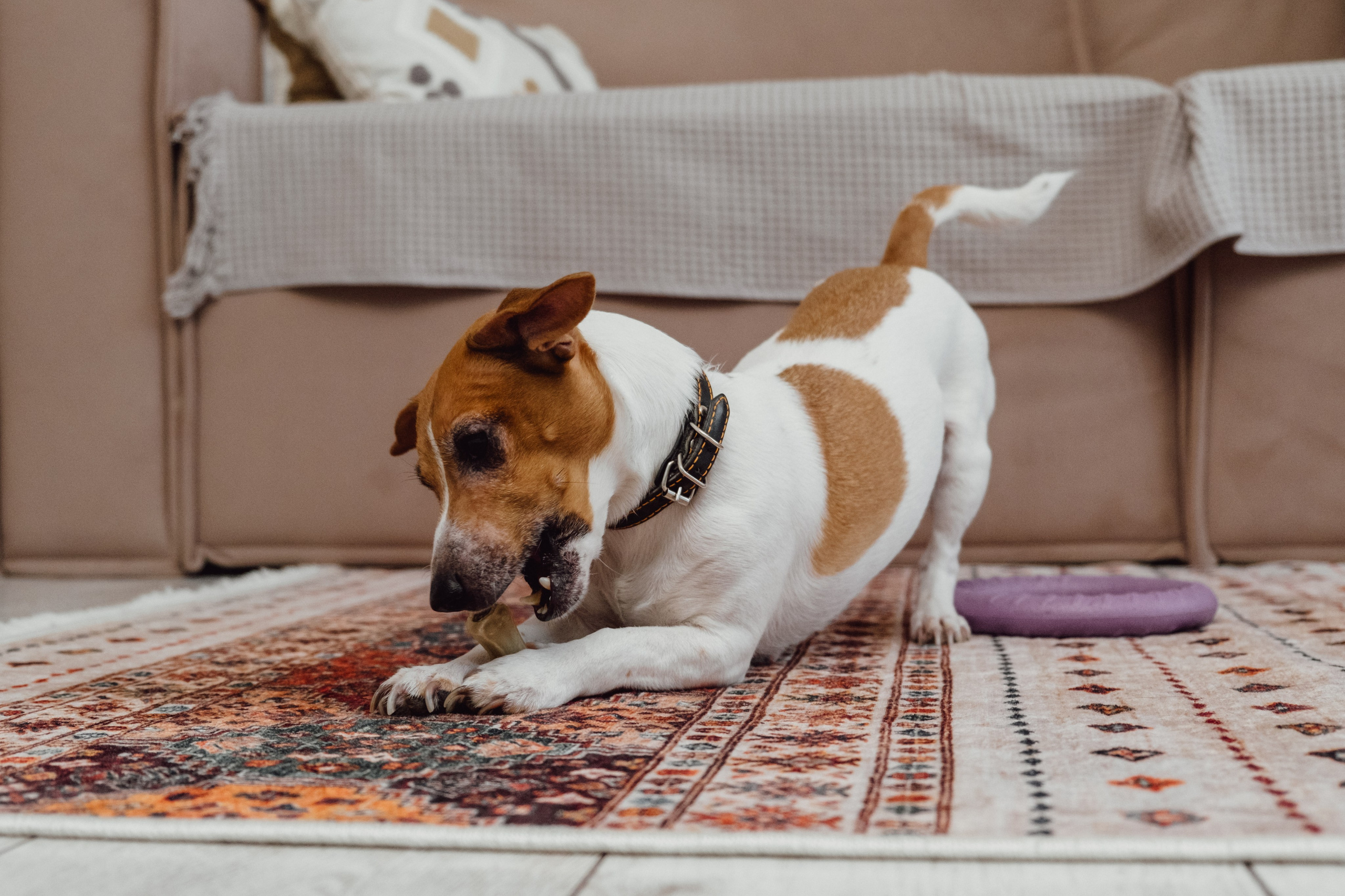 Артём, Лиза и Майя. Свадебный фотограф в Братске. Анастасия Анциферова
