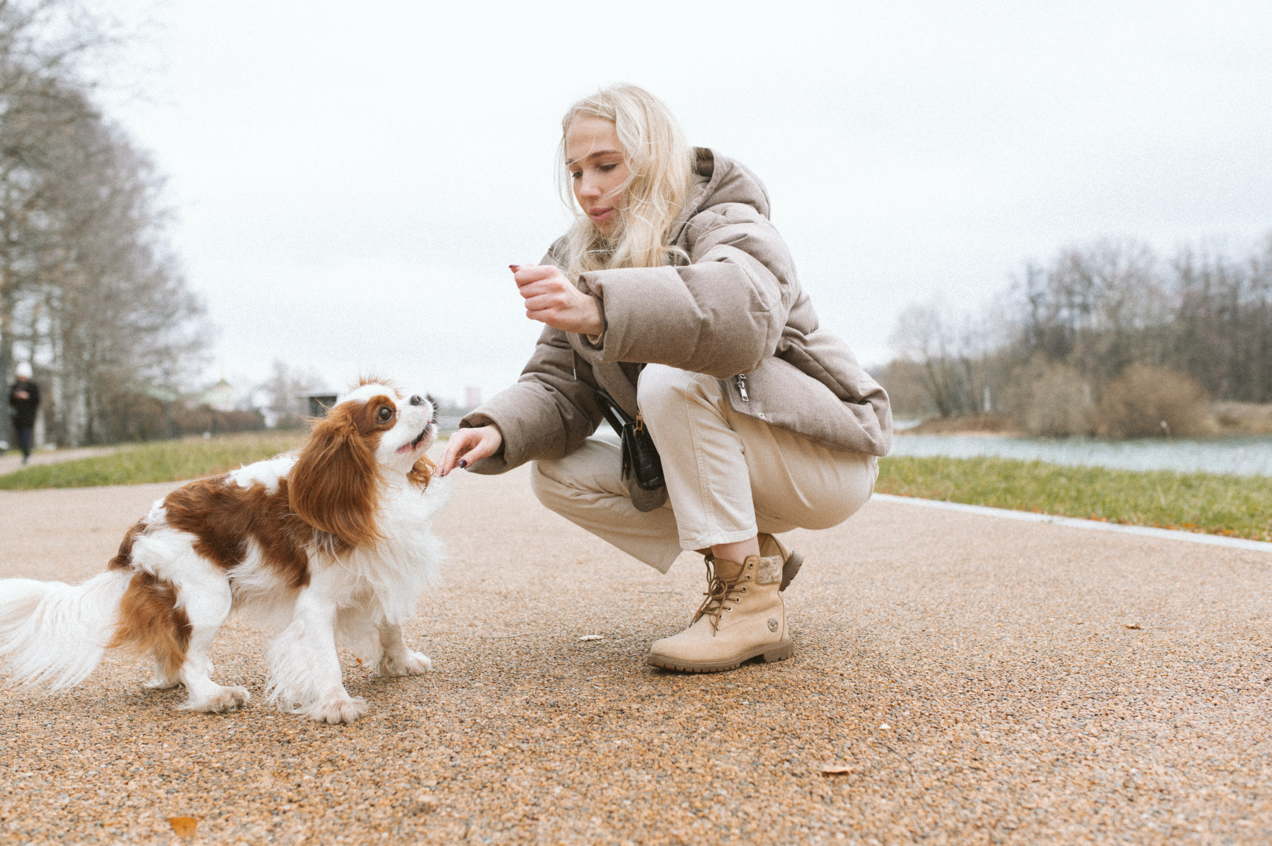 Настя и Тэйлор. Фотограф анималист в Москве Ольга Агушева