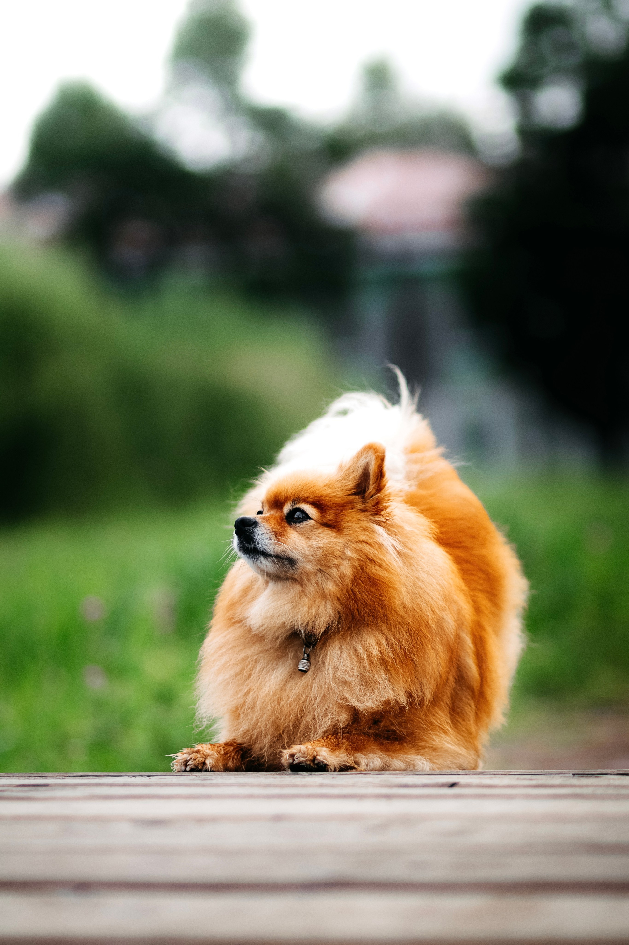 Джулия. Фотограф в Арсеньеве