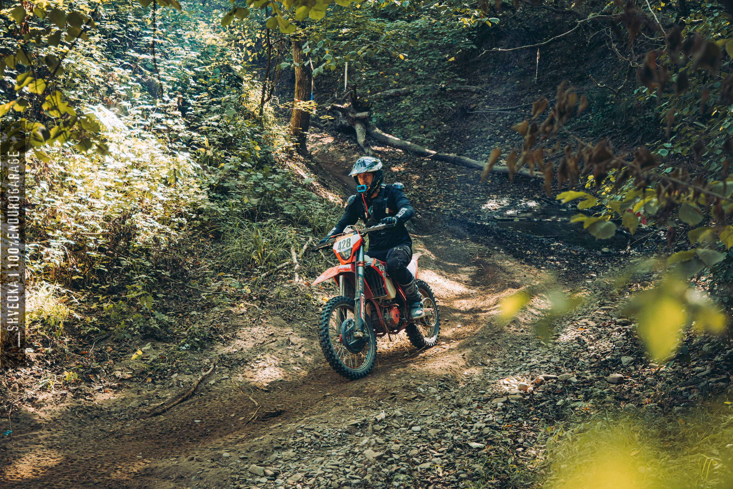 2 лесной день. Ваш экстрим фотограф Кудрева Яна