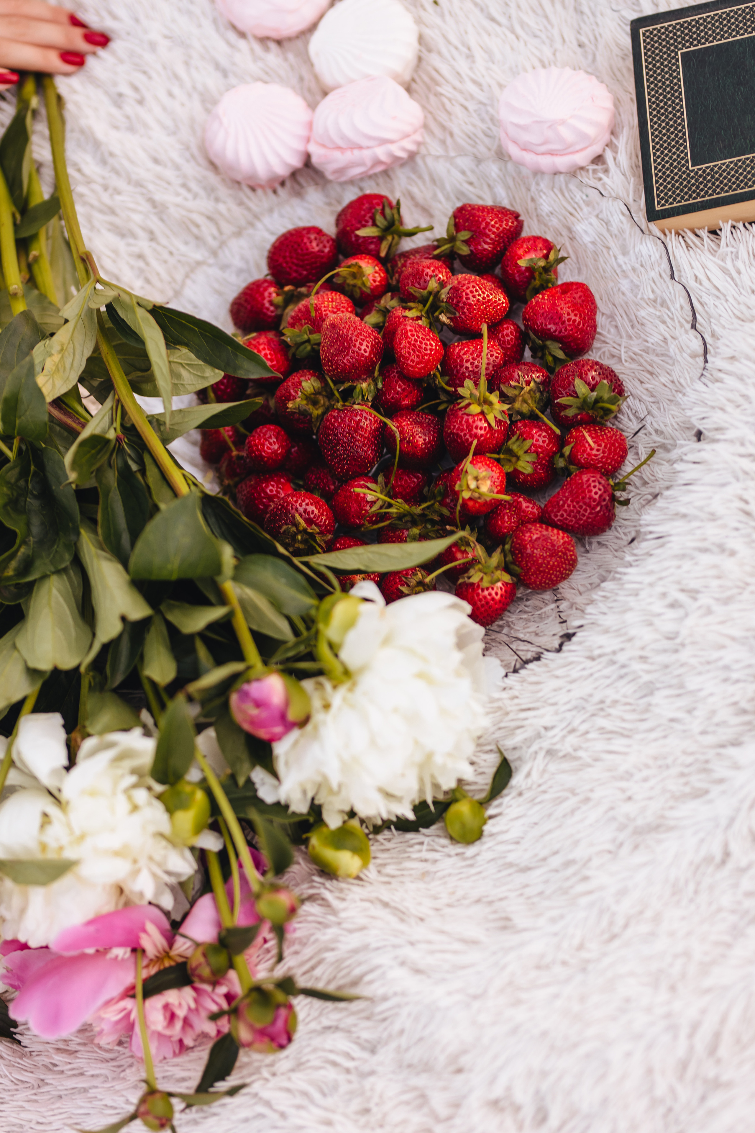 Маша в винограднике. Свадебный и семейный фотограф в Туле и области Маша Костина