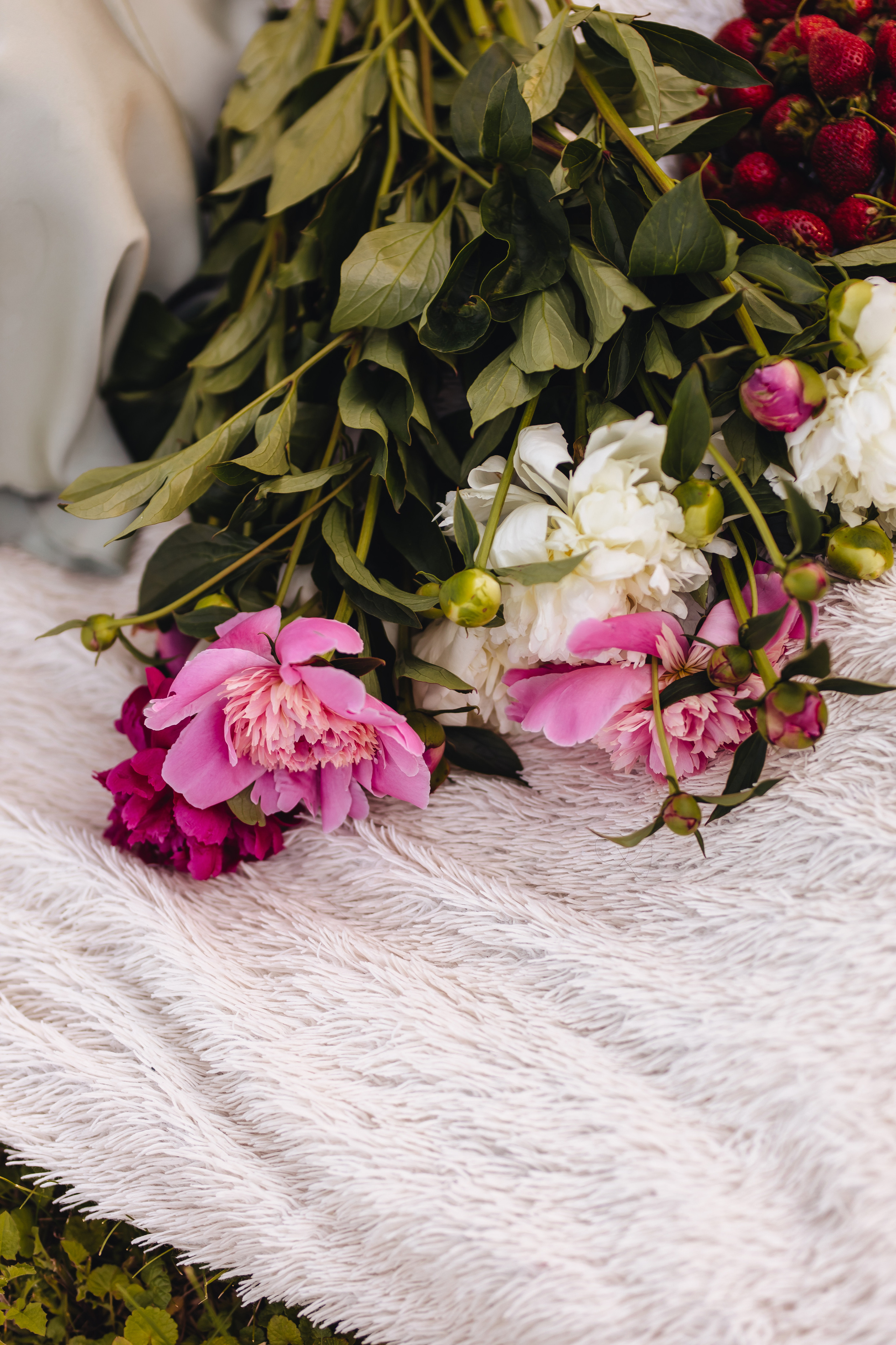 Маша в винограднике. Свадебный и семейный фотограф в Туле и области Маша Костина