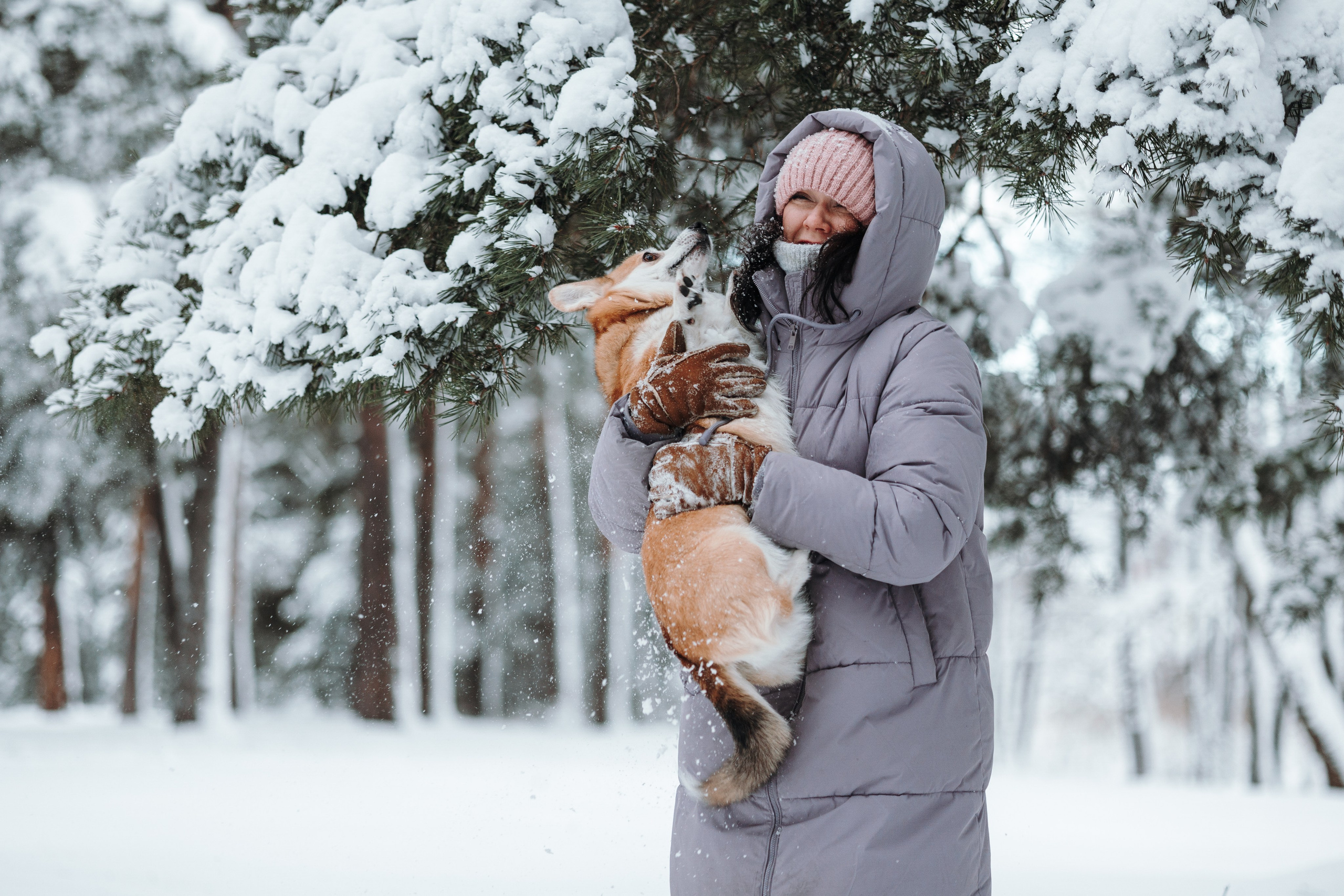 Оливка и ее семья. Фотограф — Анималист | Санкт-Петербург
