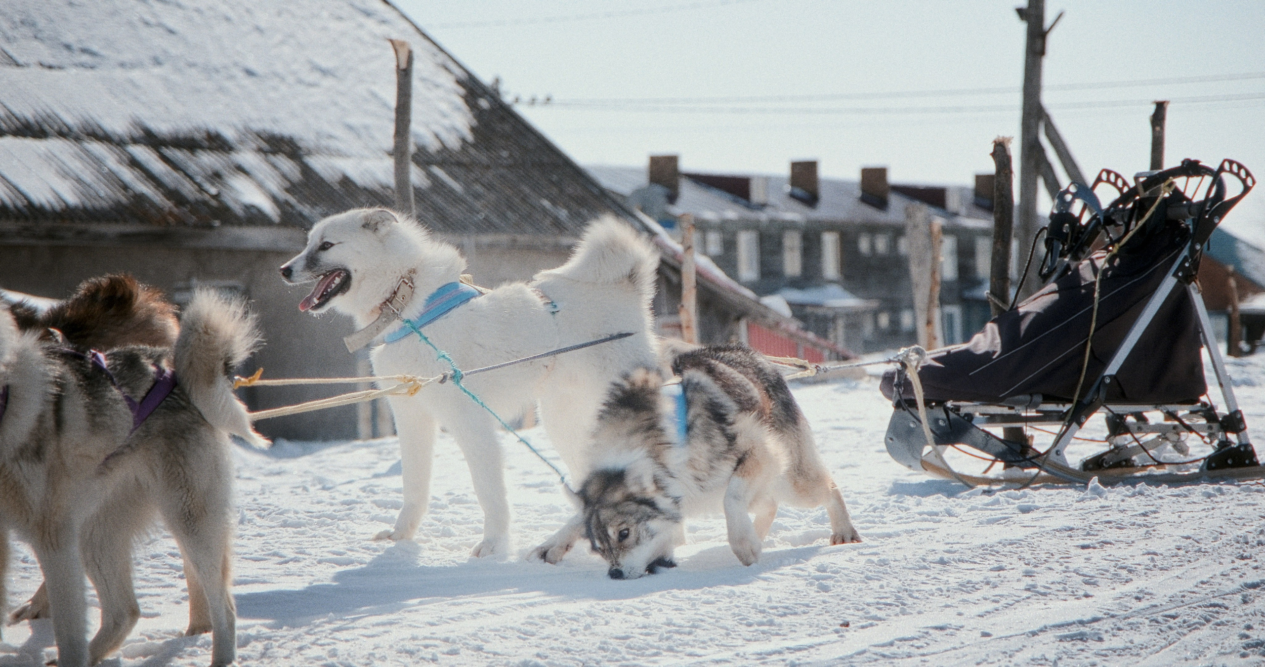 Экстрим. Максим Завгаров
