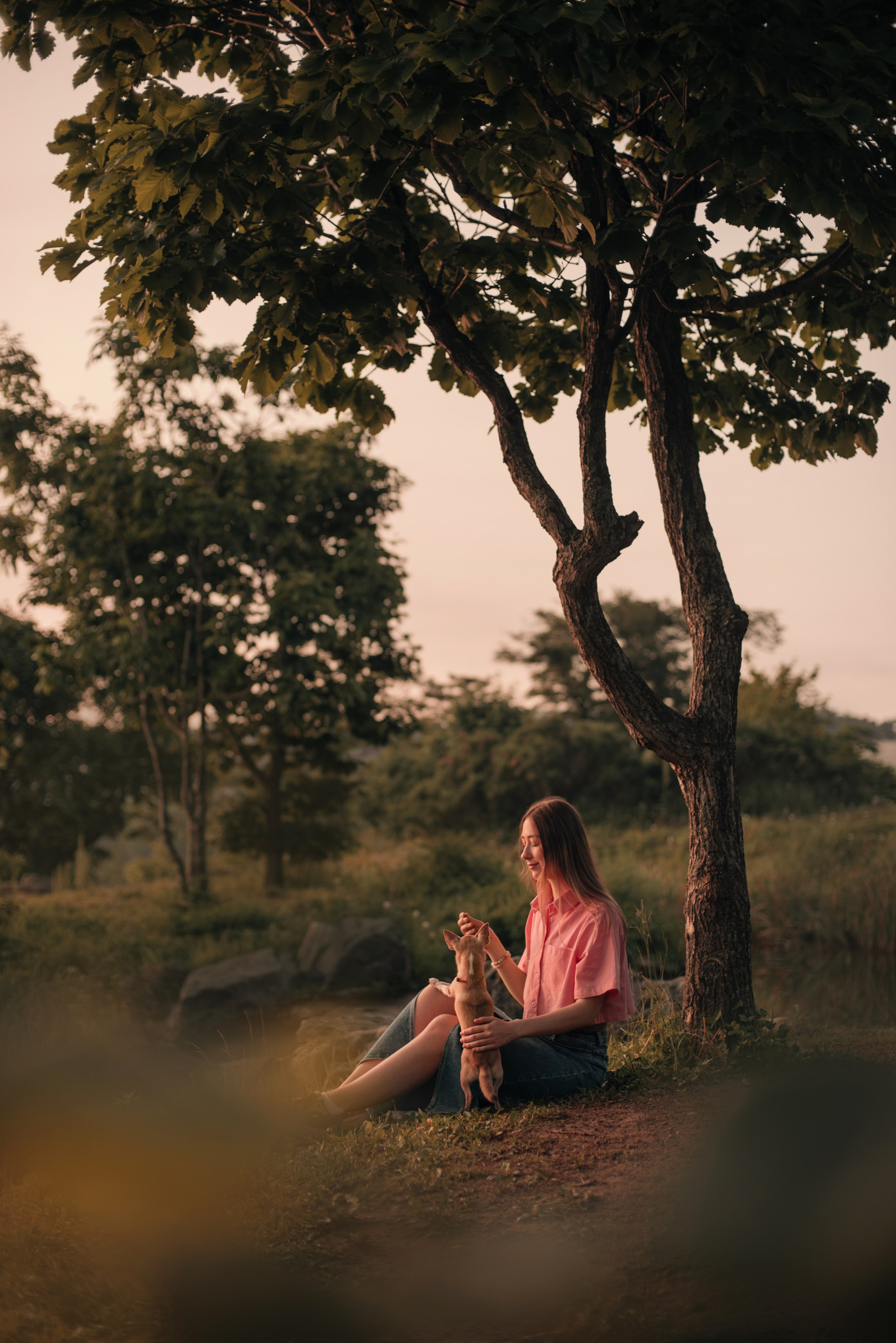 Прогулка: чихуахуа Хенни и Алина во Владивостоке. Портфолио