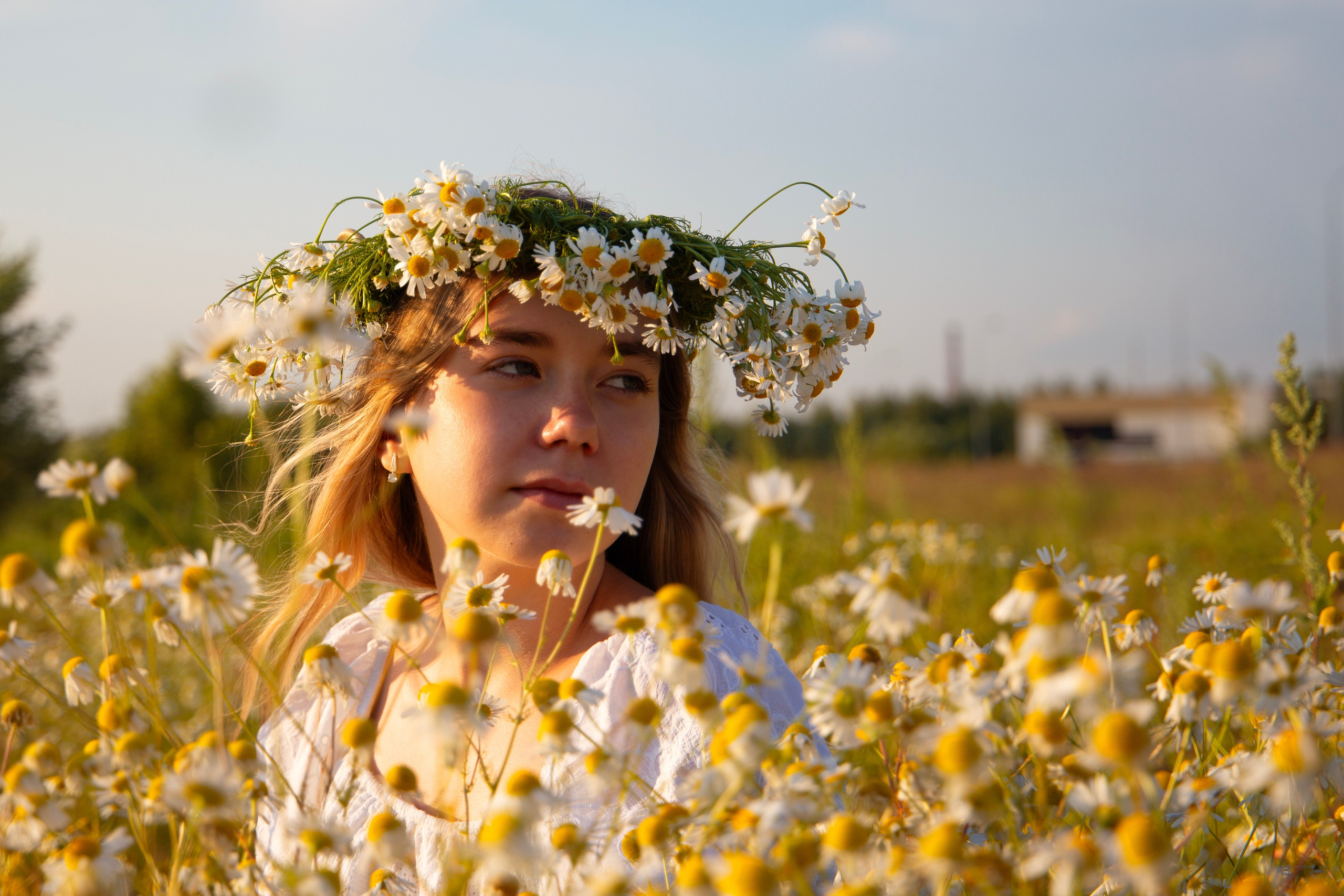 фотосессия в ромашках. Автор Юлия Щедрина