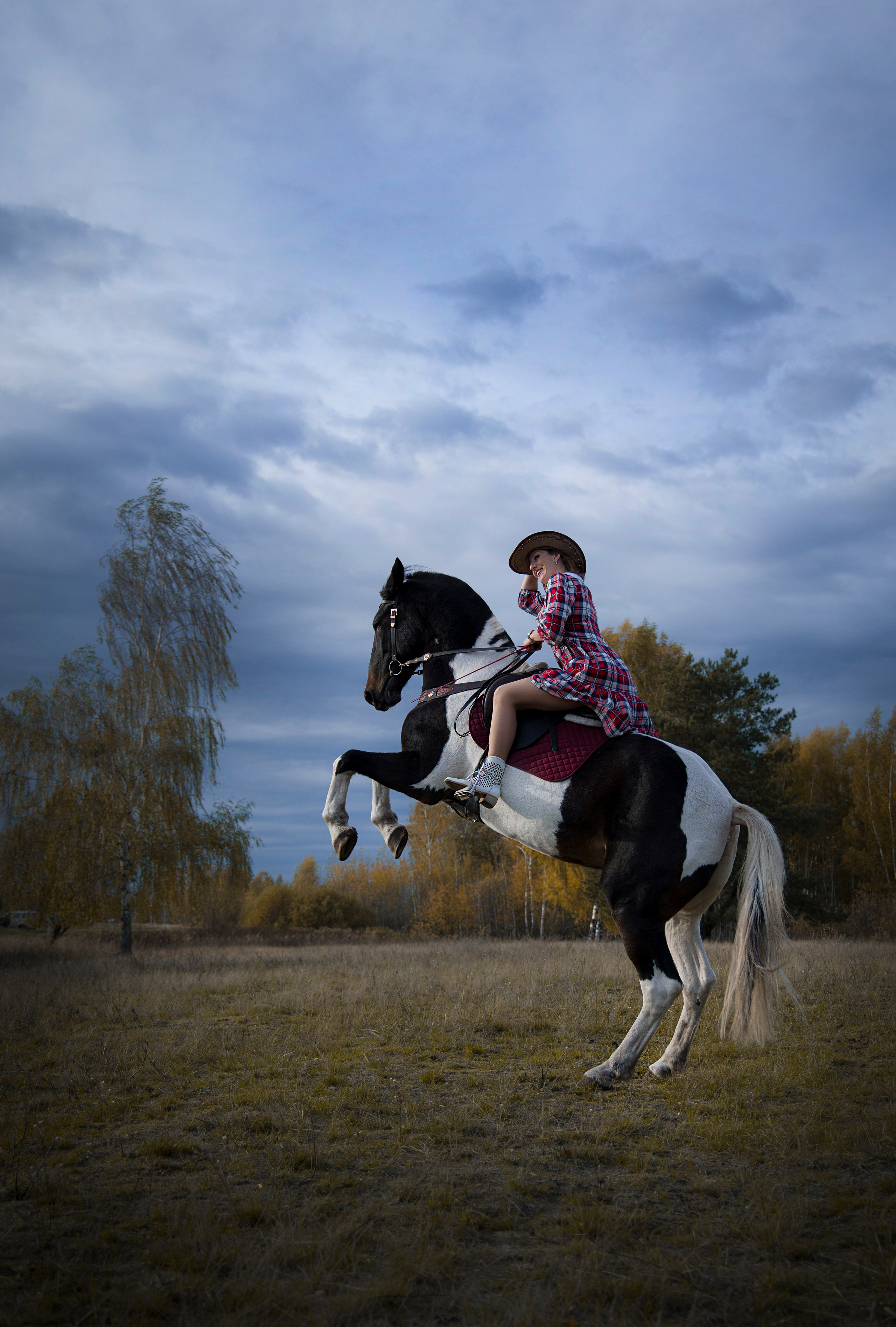 Фотограф Татьяна Марсуверских г. Жуковский, Москва и Мо. Репортажные съёмки, фотосессии с лошадьми,  фотограф анималист, фотосъёмка животных. Фотограф для маркетплейсов, фотоуслуги в Жуковском Татьяна Марсуверских
