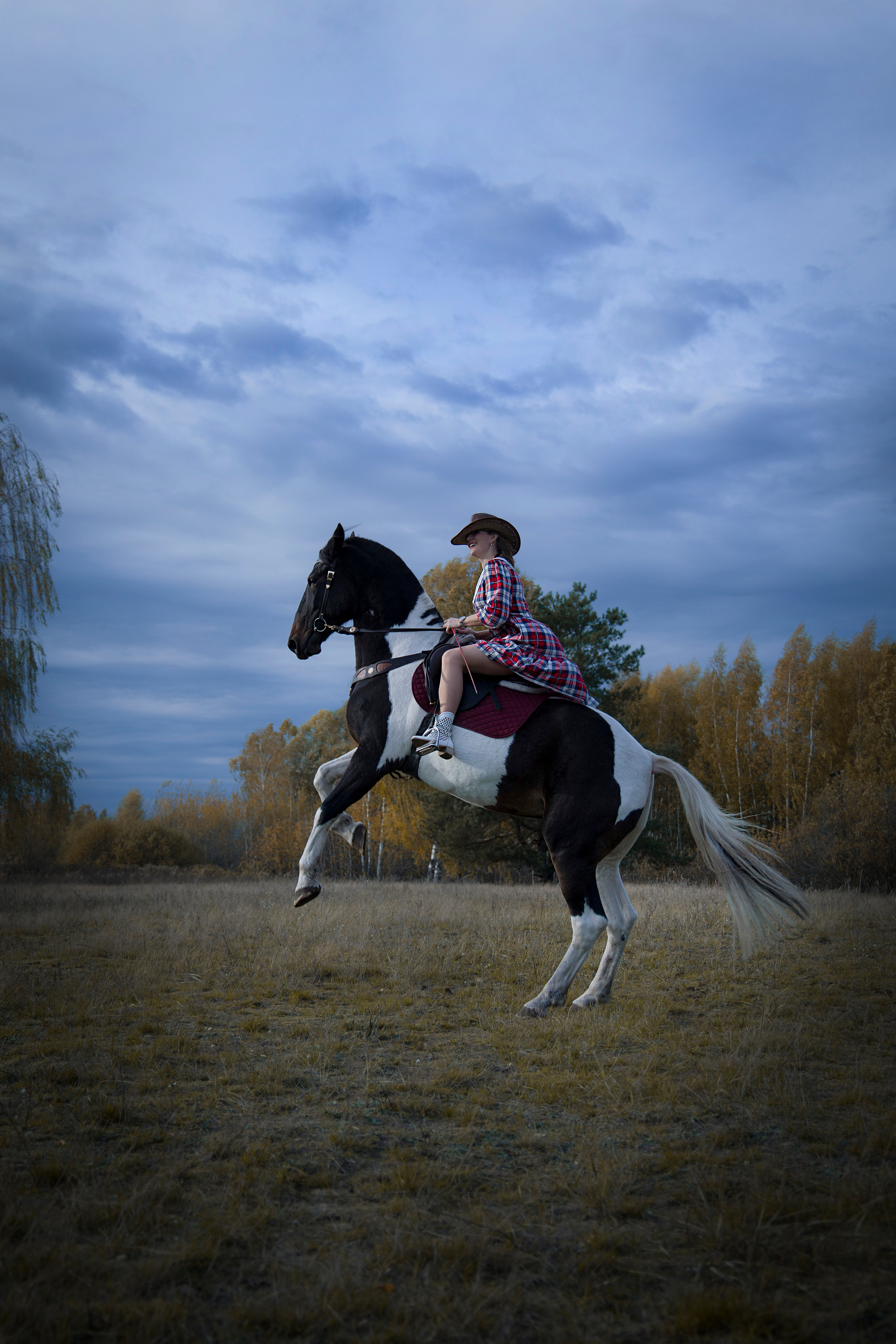 Фотограф Татьяна Марсуверских г. Жуковский, Москва и Мо. Репортажные съёмки, фотосессии с лошадьми,  фотограф анималист, фотосъёмка животных. Фотограф для маркетплейсов, фотоуслуги в Жуковском Татьяна Марсуверских