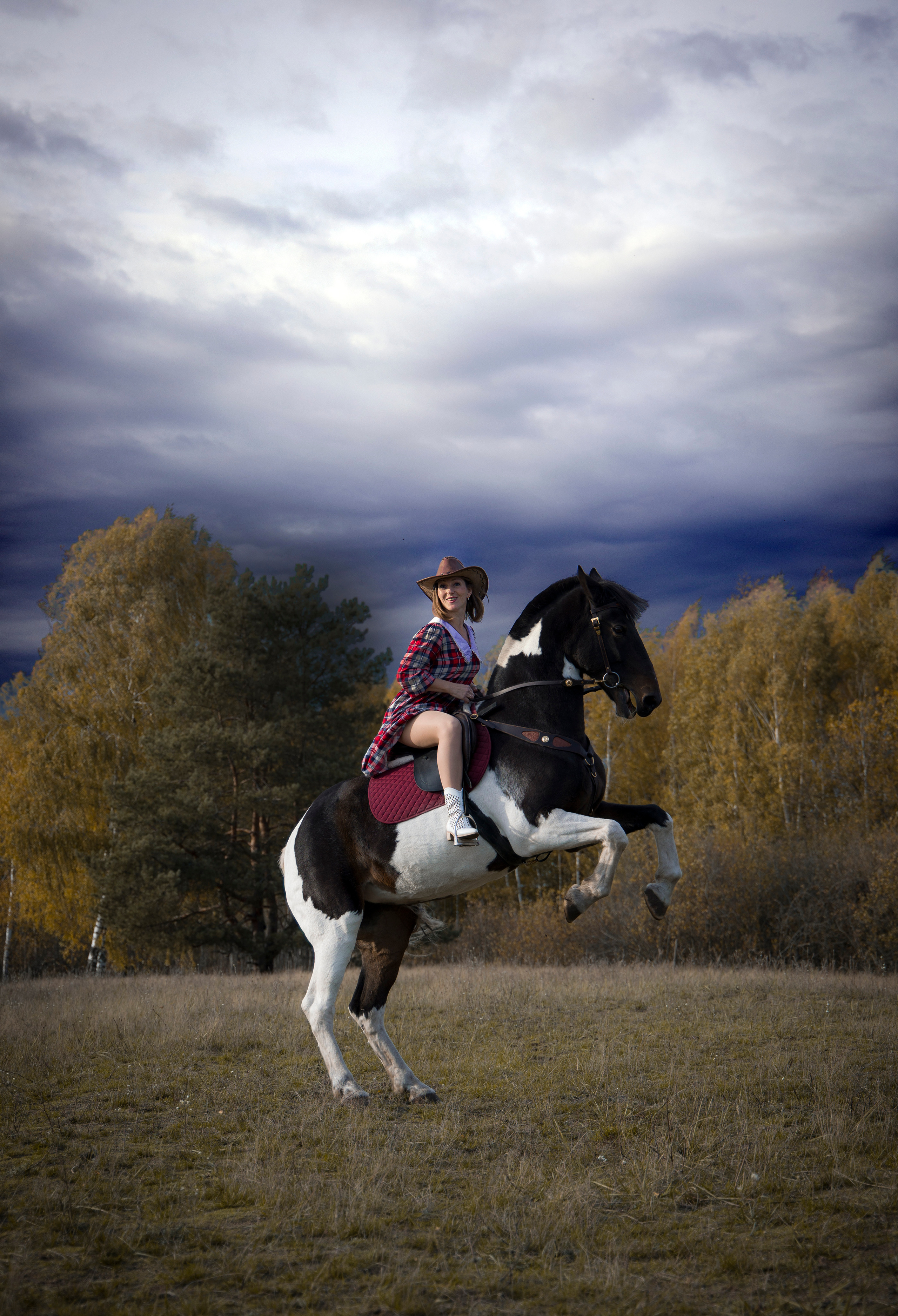 Фотограф Татьяна Марсуверских г. Жуковский, Москва и Мо. Репортажные съёмки, фотосессии с лошадьми,  фотограф анималист, фотосъёмка животных. Фотограф для маркетплейсов, фотоуслуги в Жуковском Татьяна Марсуверских