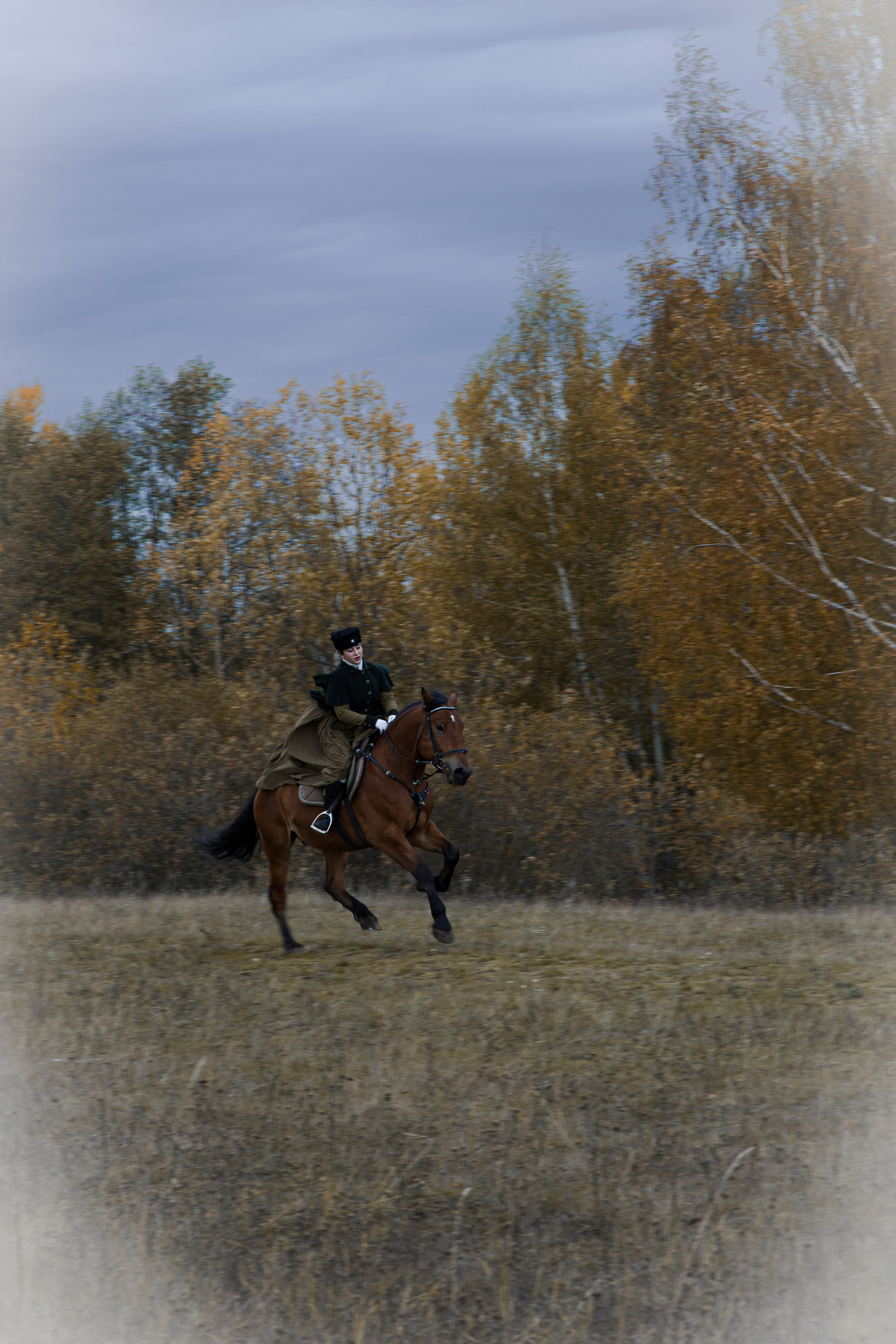 Фотограф Татьяна Марсуверских г. Жуковский, Москва и Мо. Репортажные съёмки, фотосессии с лошадьми,  фотограф анималист, фотосъёмка животных. Фотограф для маркетплейсов, фотоуслуги в Жуковском Татьяна Марсуверских