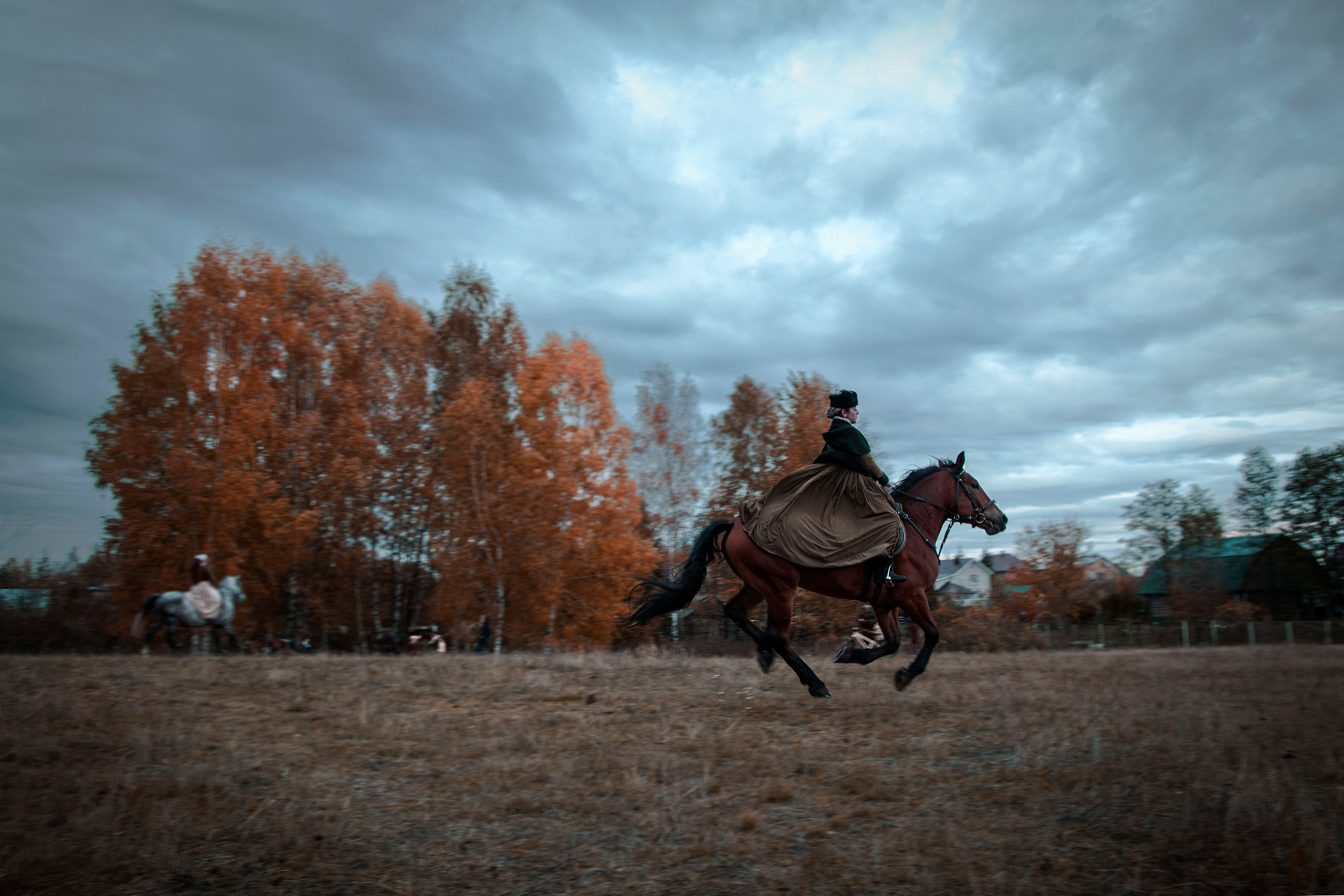 Фотограф Татьяна Марсуверских г. Жуковский, Москва и Мо. Репортажные съёмки, фотосессии с лошадьми,  фотограф анималист, фотосъёмка животных. Фотограф для маркетплейсов, фотоуслуги в Жуковском Татьяна Марсуверских