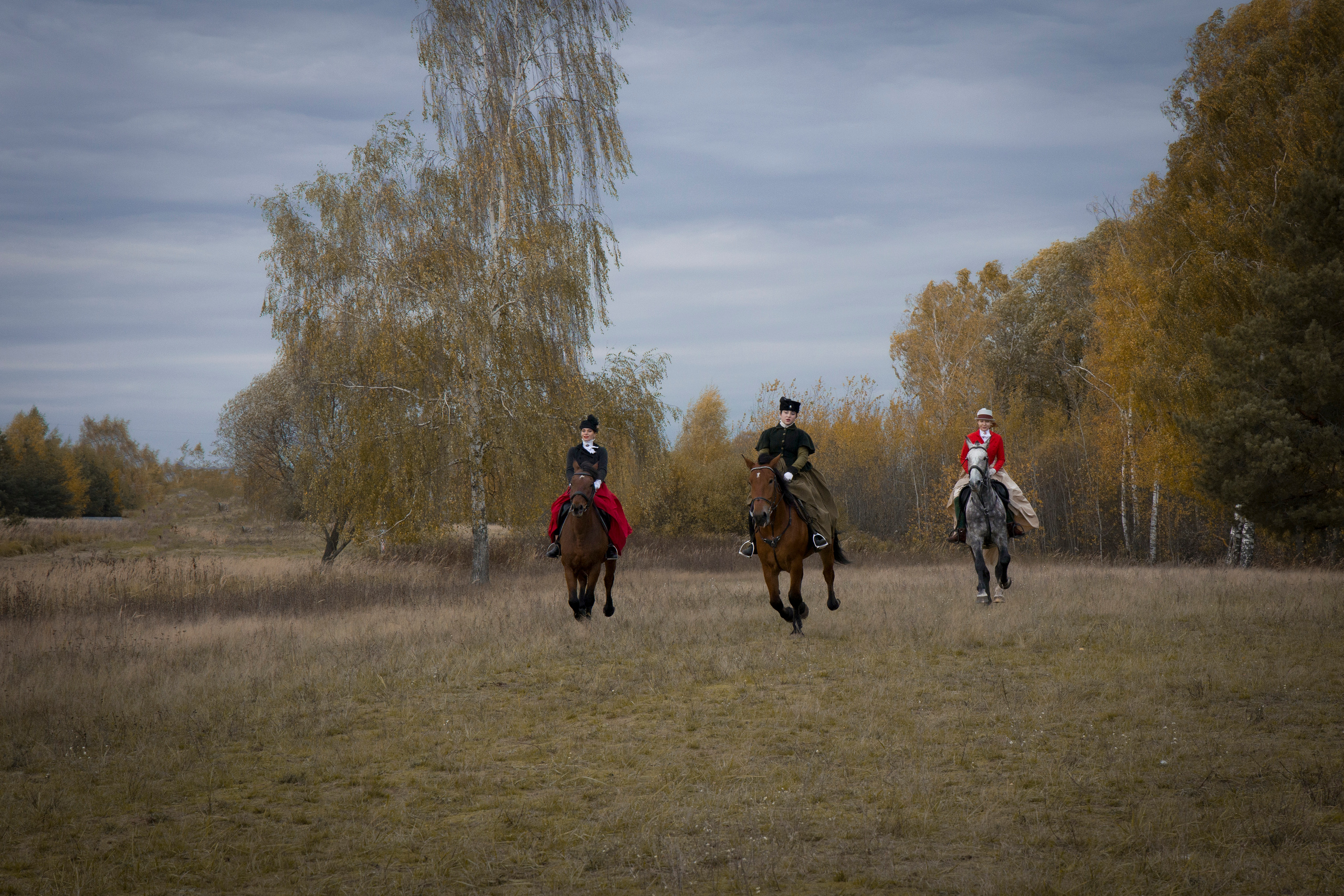 Фотограф Татьяна Марсуверских г. Жуковский, Москва и Мо. Репортажные съёмки, фотосессии с лошадьми,  фотограф анималист, фотосъёмка животных. Фотограф для маркетплейсов, фотоуслуги в Жуковском Татьяна Марсуверских