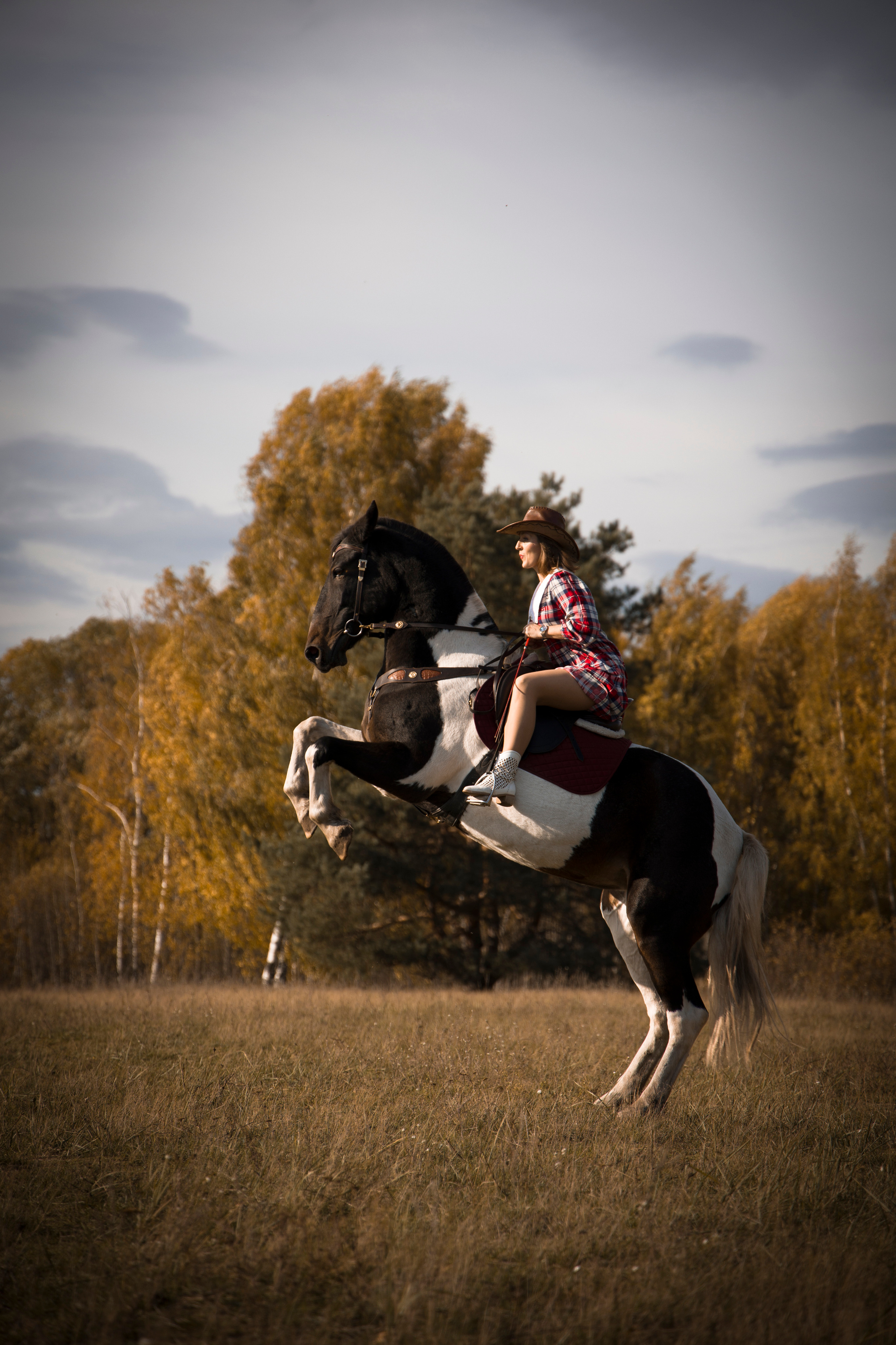 Фотограф Татьяна Марсуверских г. Жуковский, Москва и Мо. Репортажные съёмки, фотосессии с лошадьми,  фотограф анималист, фотосъёмка животных. Фотограф для маркетплейсов, фотоуслуги в Жуковском Татьяна Марсуверских