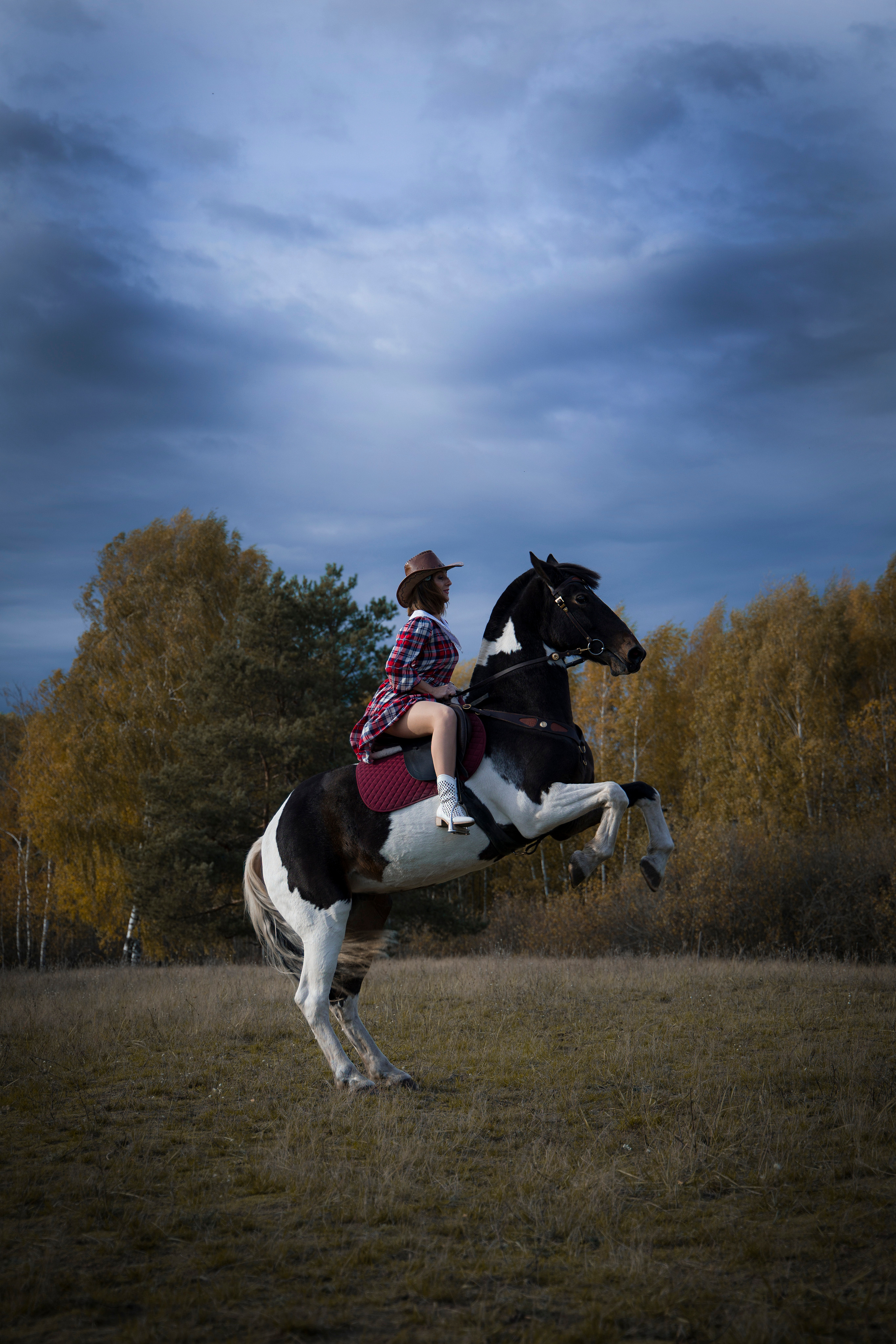 Фотограф Татьяна Марсуверских г. Жуковский, Москва и Мо. Репортажные съёмки, фотосессии с лошадьми,  фотограф анималист, фотосъёмка животных. Фотограф для маркетплейсов, фотоуслуги в Жуковском Татьяна Марсуверских
