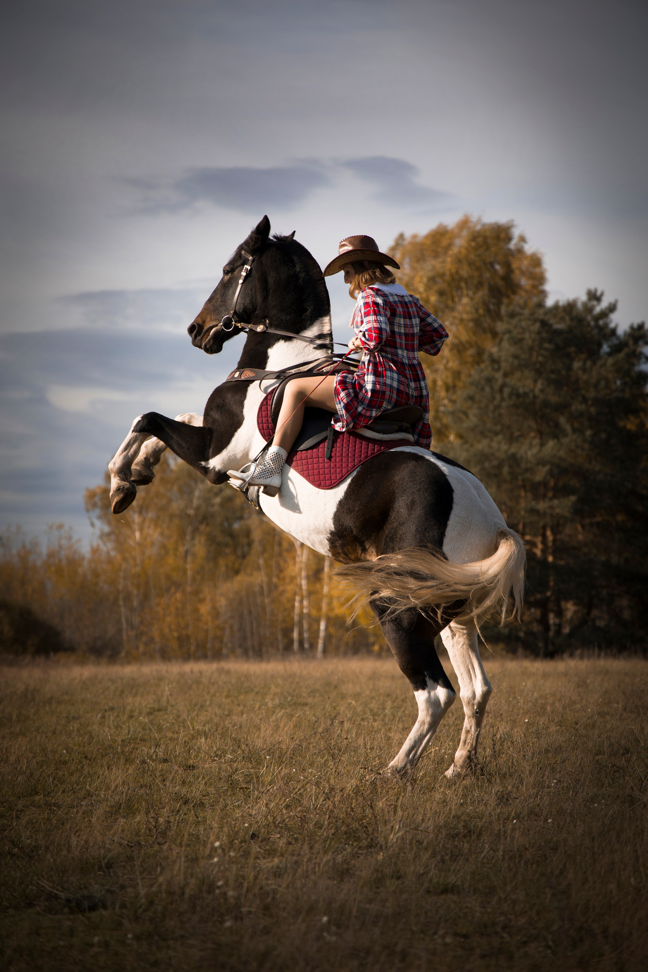 Фотограф Татьяна Марсуверских г. Жуковский, Москва и Мо. Репортажные съёмки, фотосессии с лошадьми,  фотограф анималист, фотосъёмка животных. Фотограф для маркетплейсов, фотоуслуги в Жуковском Татьяна Марсуверских