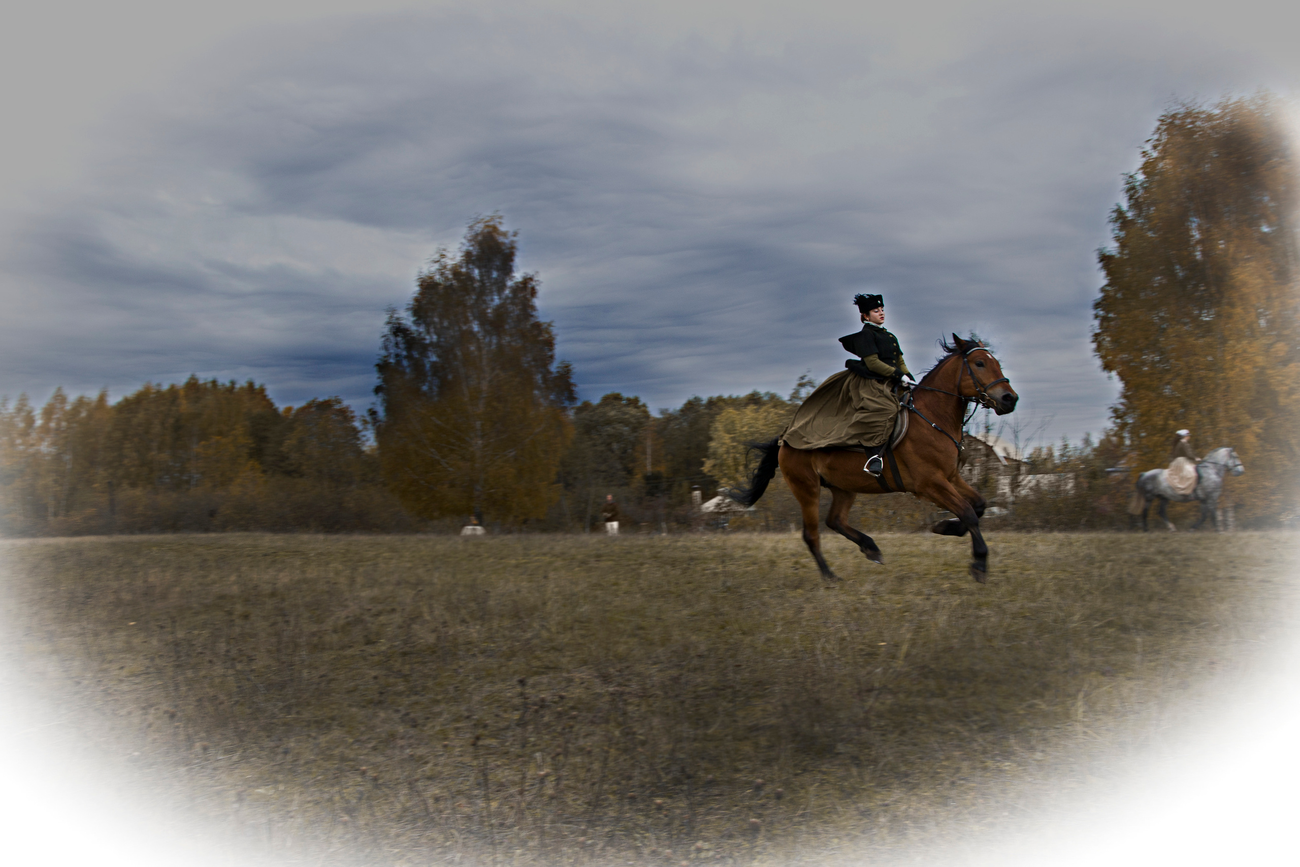 Фотограф Татьяна Марсуверских г. Жуковский, Москва и Мо. Репортажные съёмки, фотосессии с лошадьми,  фотограф анималист, фотосъёмка животных. Фотограф для маркетплейсов, фотоуслуги в Жуковском Татьяна Марсуверских