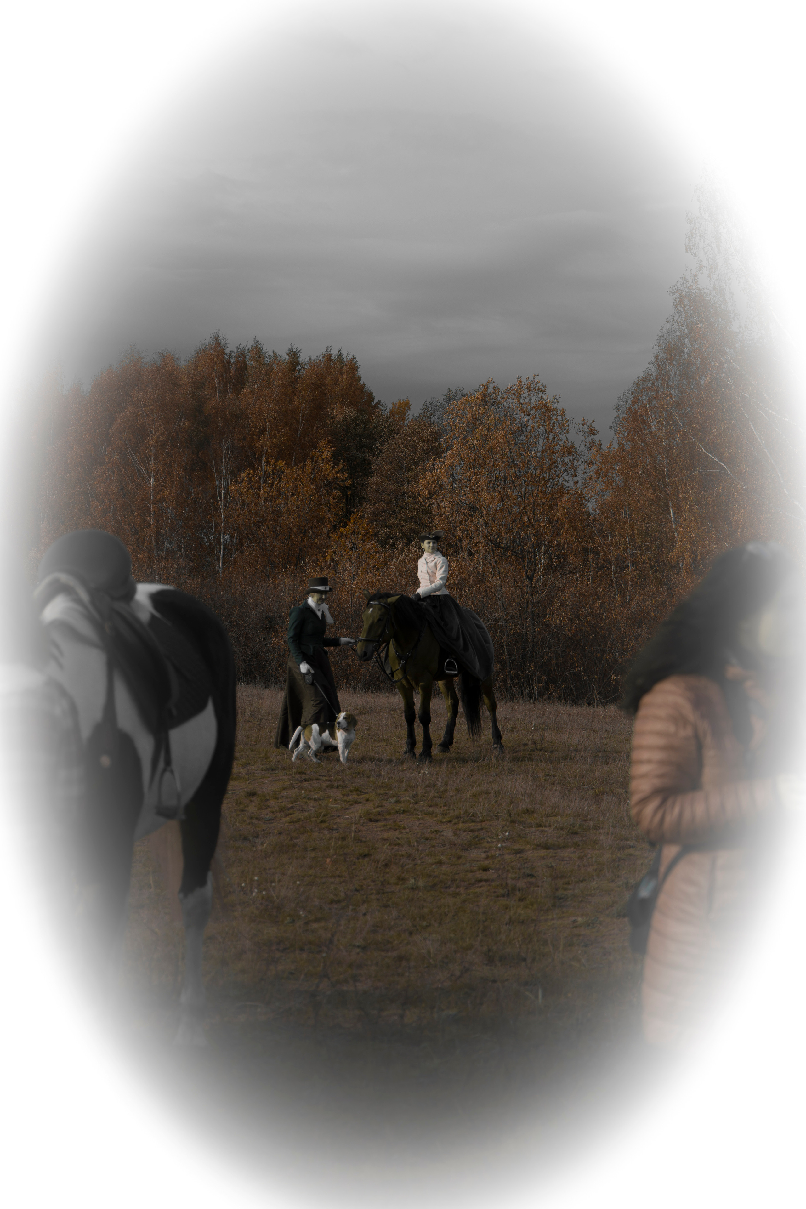 Фотограф Татьяна Марсуверских г. Жуковский, Москва и Мо. Репортажные съёмки, фотосессии с лошадьми,  фотограф анималист, фотосъёмка животных. Фотограф для маркетплейсов, фотоуслуги в Жуковском Татьяна Марсуверских