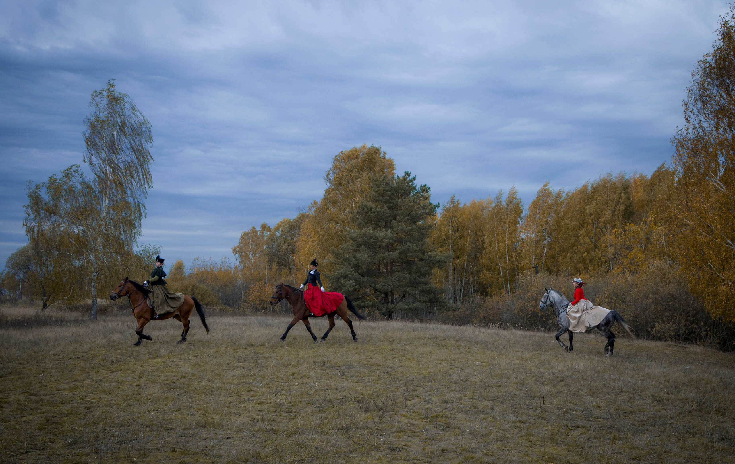 Фотограф Татьяна Марсуверских г. Жуковский, Москва и Мо. Репортажные съёмки, фотосессии с лошадьми,  фотограф анималист, фотосъёмка животных. Фотограф для маркетплейсов, фотоуслуги в Жуковском Татьяна Марсуверских