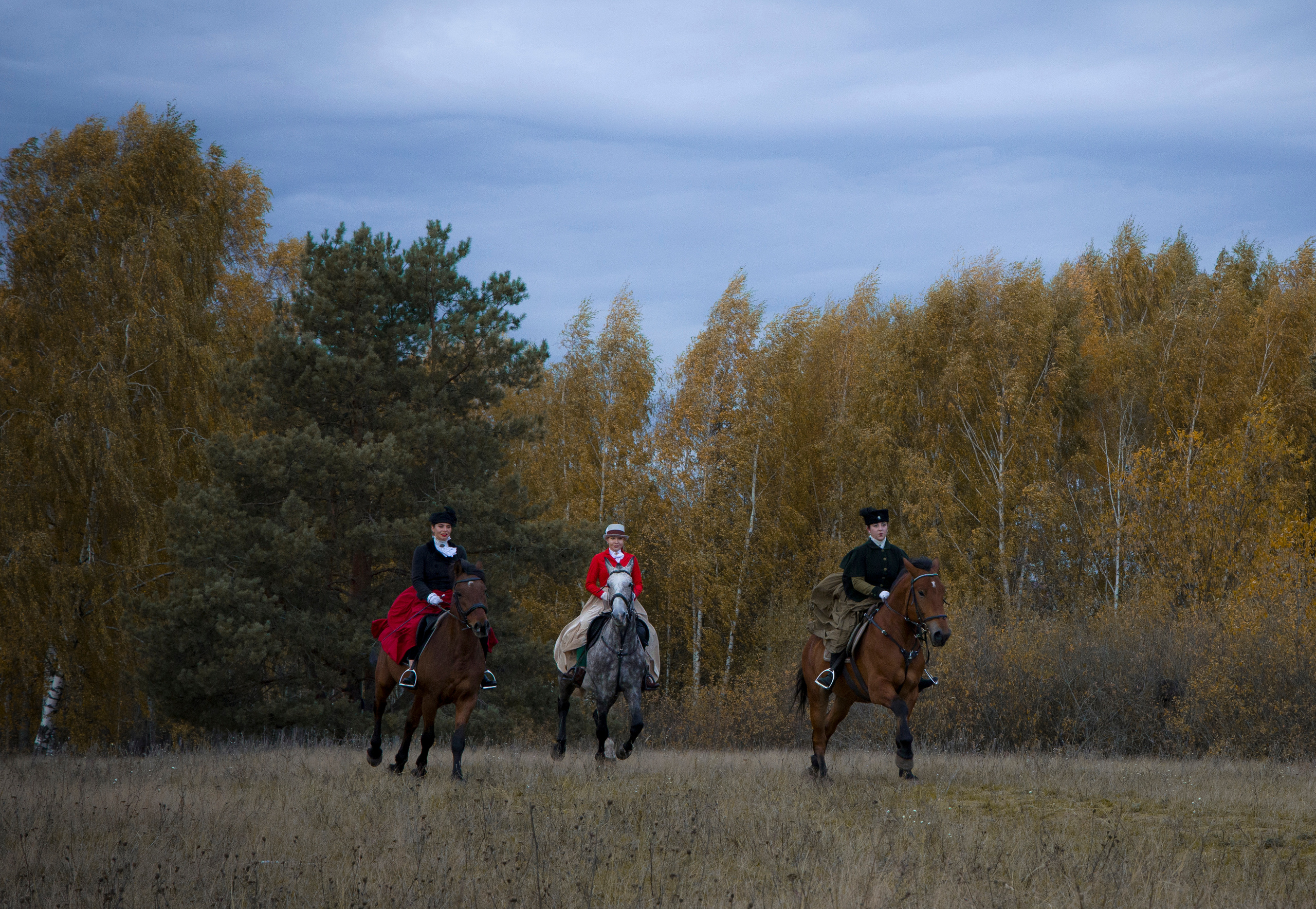 Фотограф Татьяна Марсуверских г. Жуковский, Москва и Мо. Репортажные съёмки, фотосессии с лошадьми,  фотограф анималист, фотосъёмка животных. Фотограф для маркетплейсов, фотоуслуги в Жуковском Татьяна Марсуверских