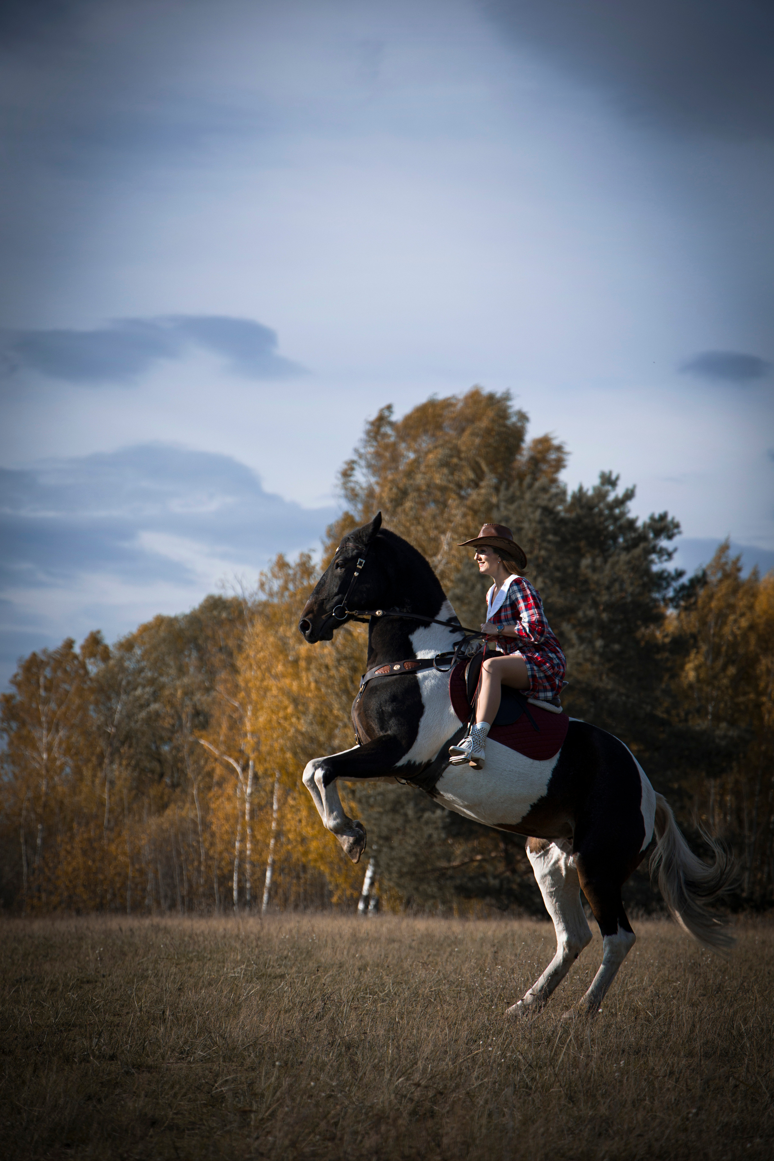 Фотограф Татьяна Марсуверских г. Жуковский, Москва и Мо. Репортажные съёмки, фотосессии с лошадьми,  фотограф анималист, фотосъёмка животных. Фотограф для маркетплейсов, фотоуслуги в Жуковском Татьяна Марсуверских