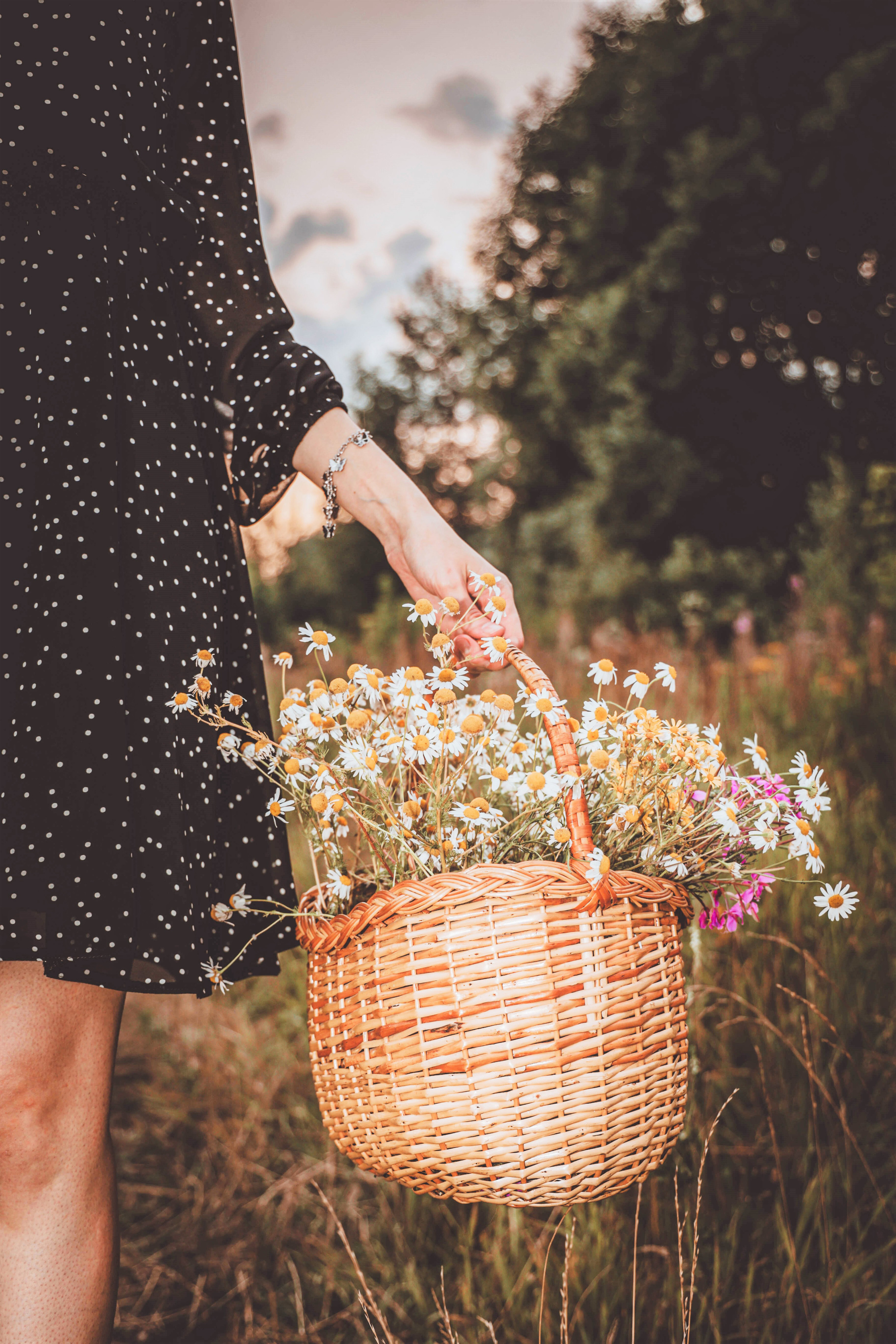 Фотограф Татьяна Марсуверских г. Жуковский, Москва и Мо. Репортажные съёмки, фотосессии,  фотограф анималист, фотосъёмка животных. Фотограф для маркетплейсов, фотоуслуги в Жуковском Татьяна Марсуверских