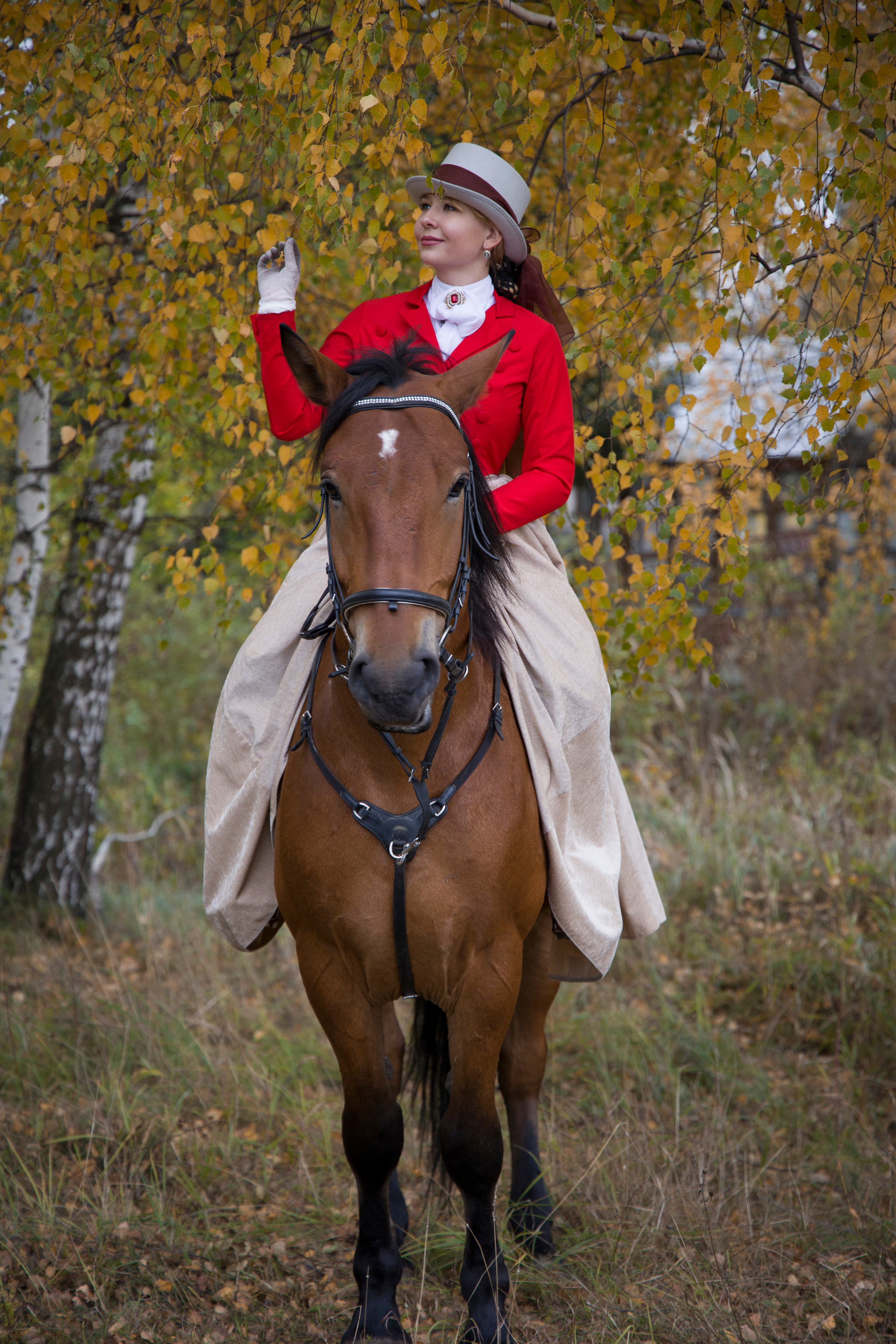 Фотограф Татьяна Марсуверских г. Жуковский, Москва и Мо. Репортажные съёмки, фотосессии с лошадьми,  фотограф анималист, фотосъёмка животных. Фотограф для маркетплейсов, фотоуслуги в Жуковском Татьяна Марсуверских
