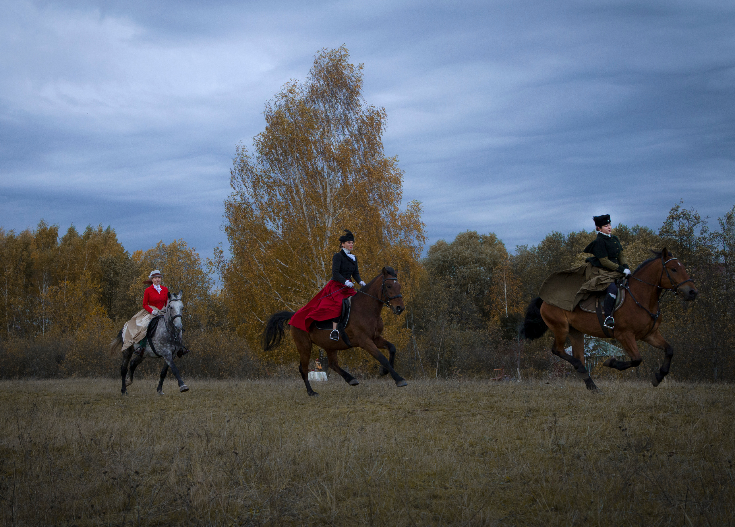 Фотограф Татьяна Марсуверских г. Жуковский, Москва и Мо. Репортажные съёмки, фотосессии с лошадьми,  фотограф анималист, фотосъёмка животных. Фотограф для маркетплейсов, фотоуслуги в Жуковском Татьяна Марсуверских