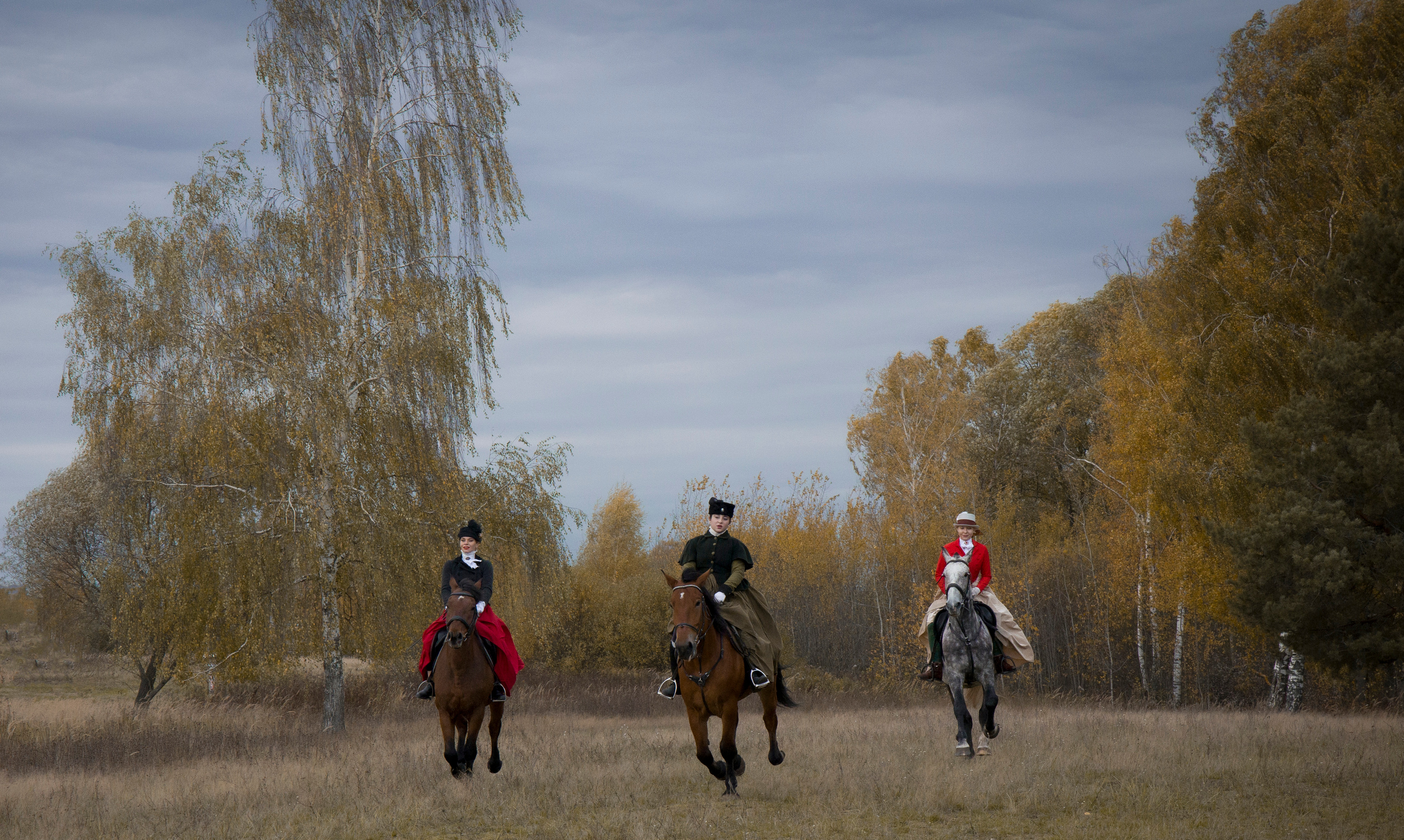 Фотограф Татьяна Марсуверских г. Жуковский, Москва и Мо. Репортажные съёмки, фотосессии с лошадьми,  фотограф анималист, фотосъёмка животных. Фотограф для маркетплейсов, фотоуслуги в Жуковском Татьяна Марсуверских