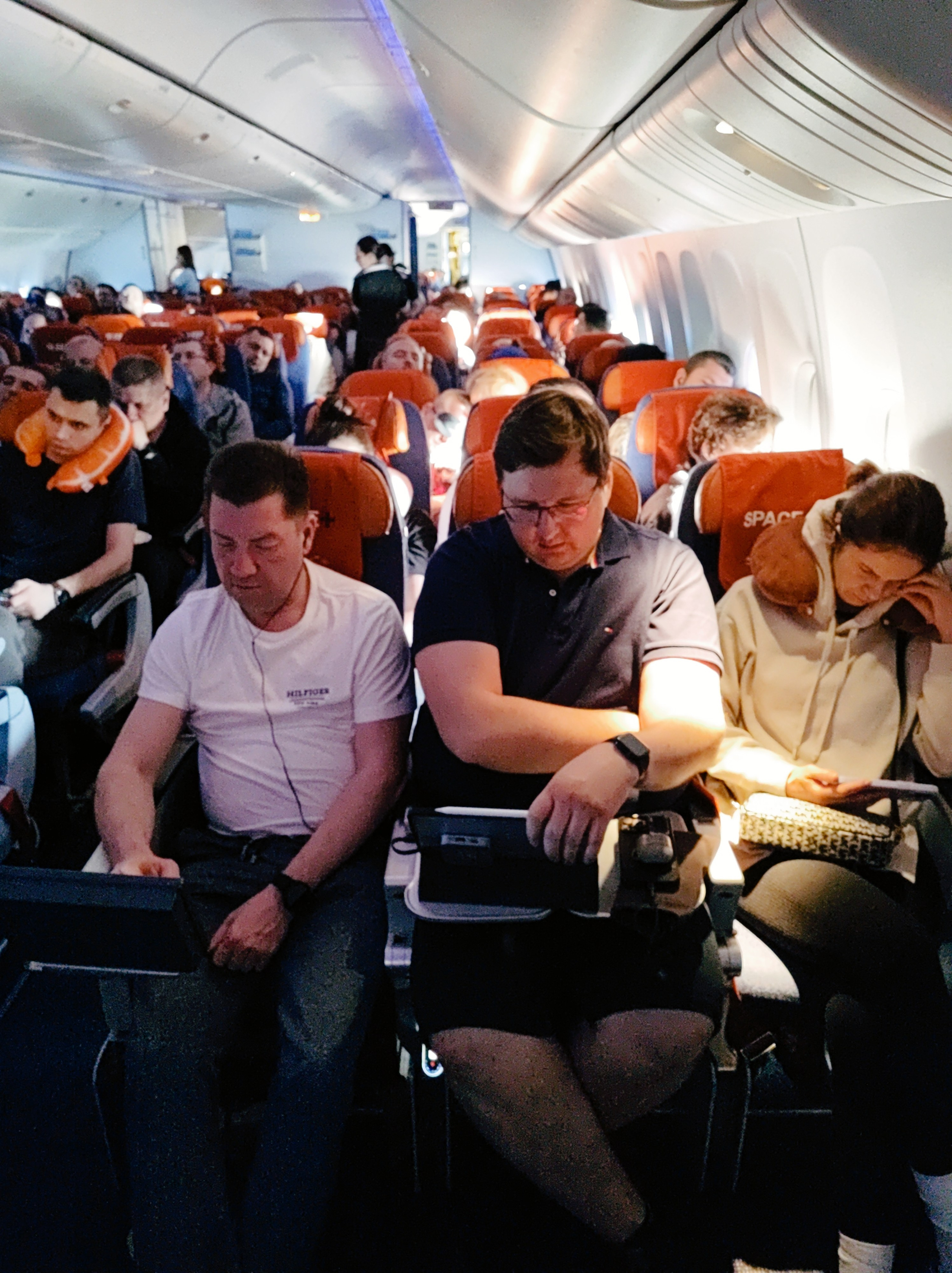 Намобилкус китайский. Репортажный фотограф Алексей Пирязев