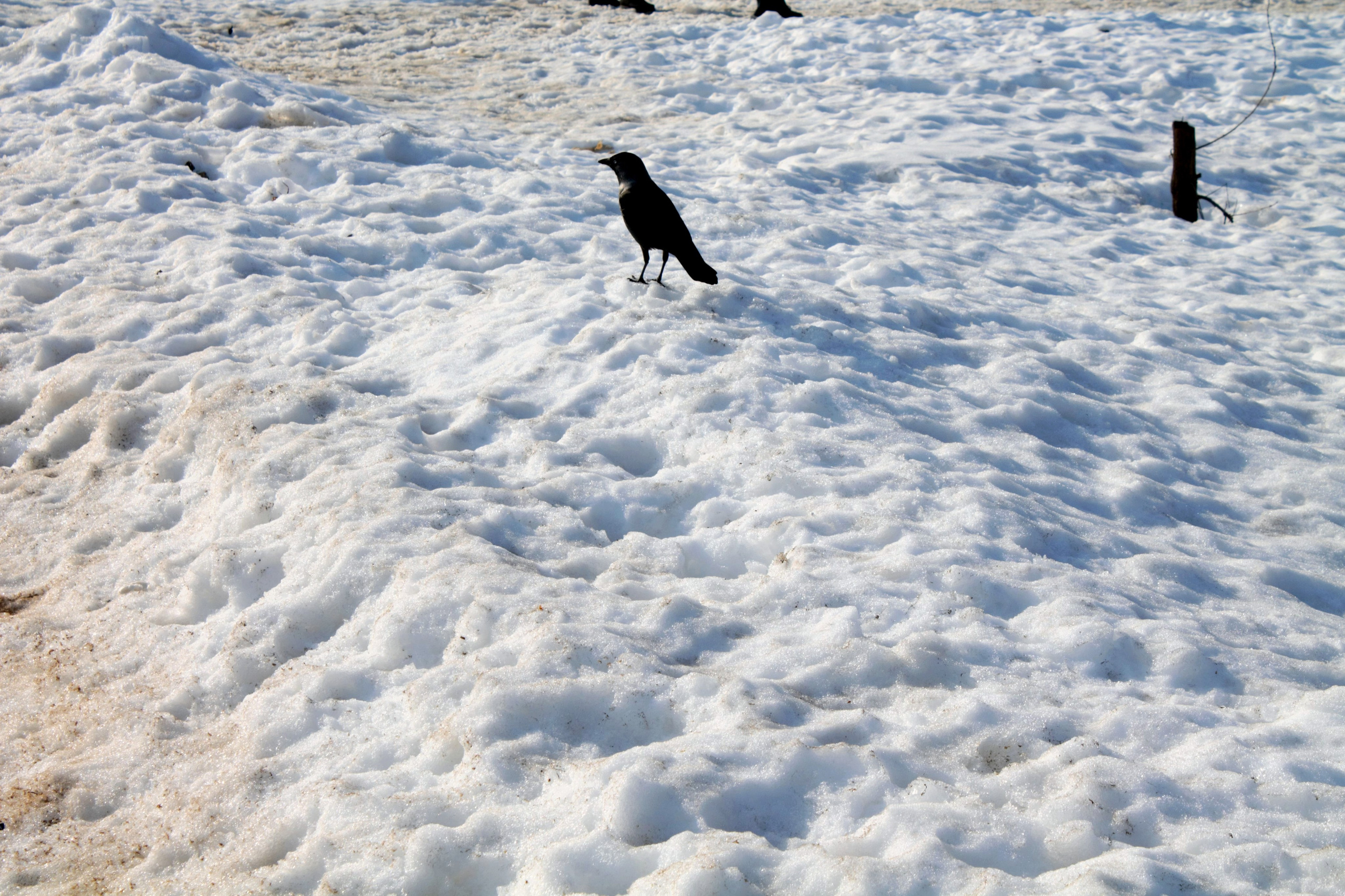 Весенняя прогулка по набережной Волги. Isaev-foto.ru