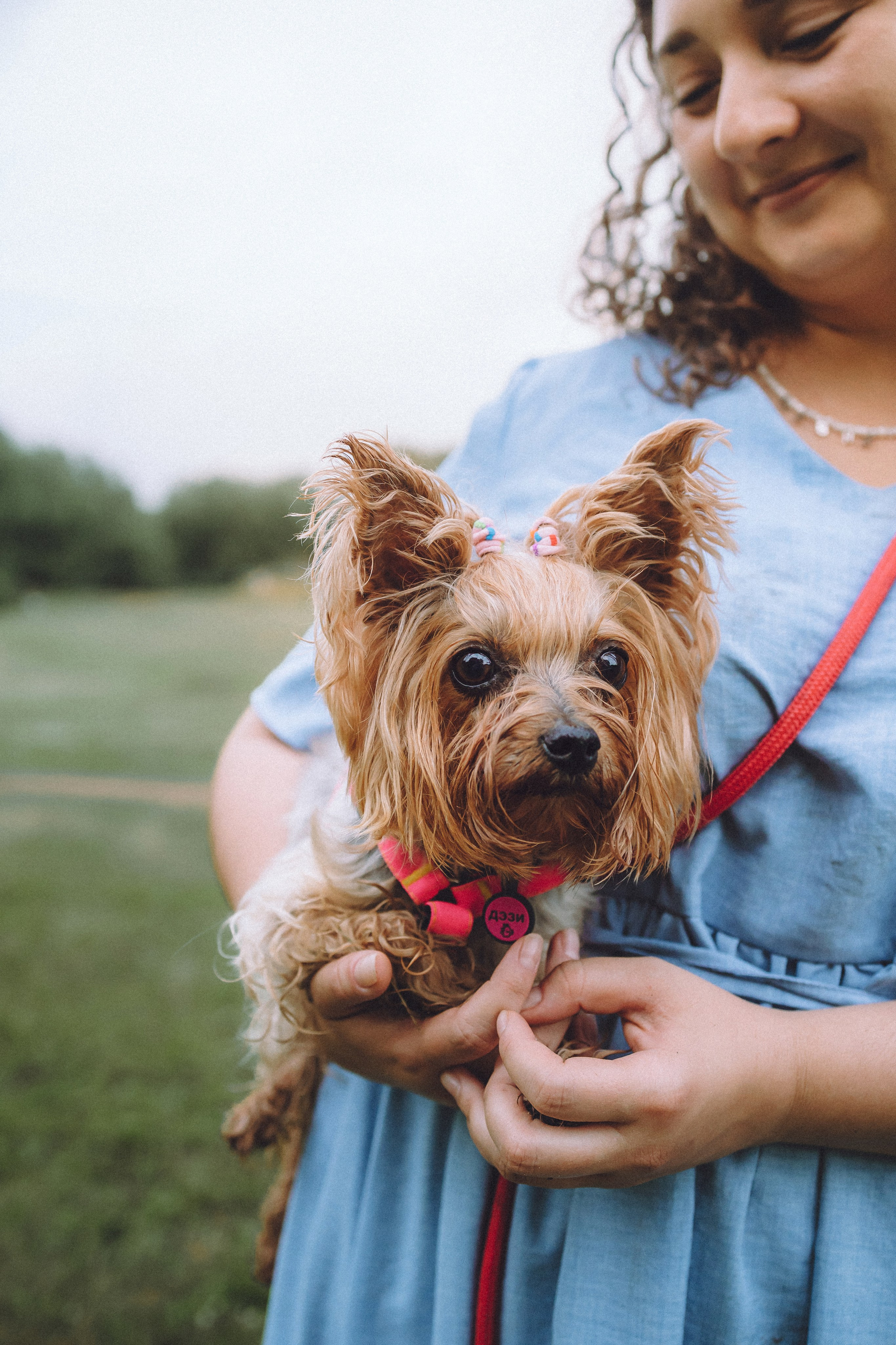 Даша и Дэзи