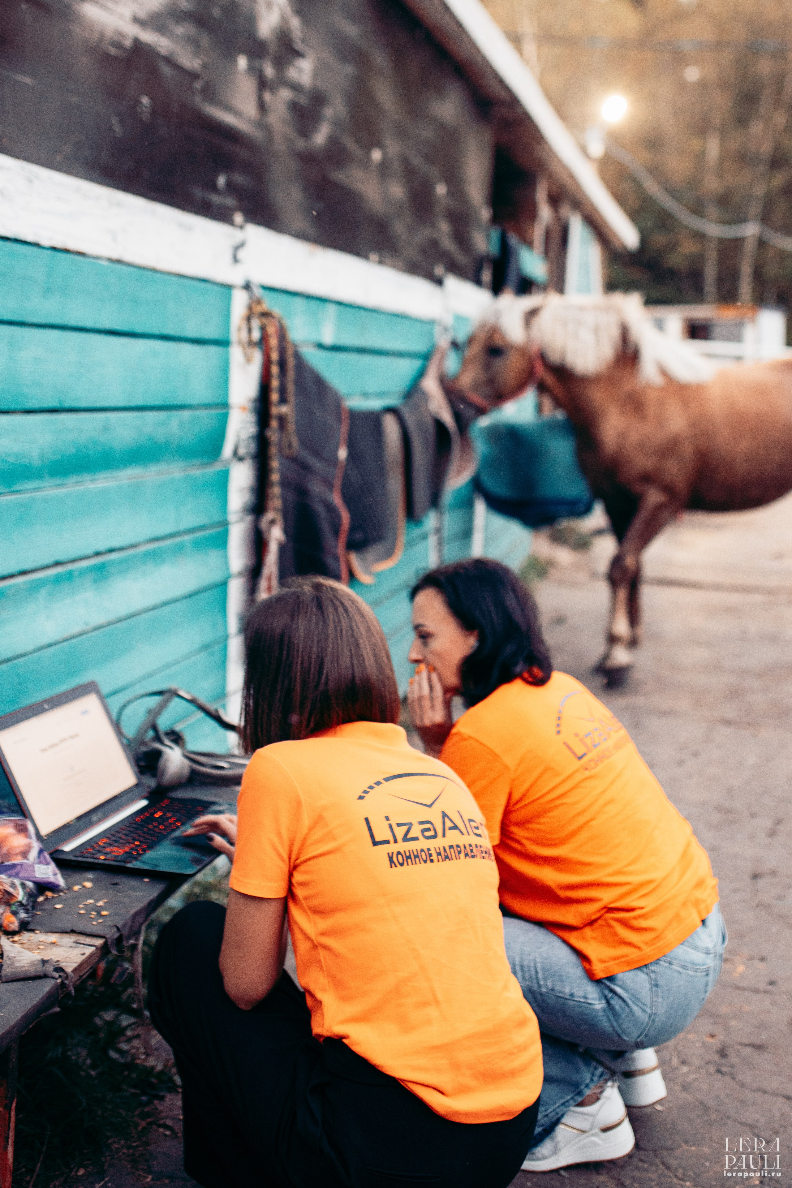 ДПСО «ЛизаАлерт». Главная