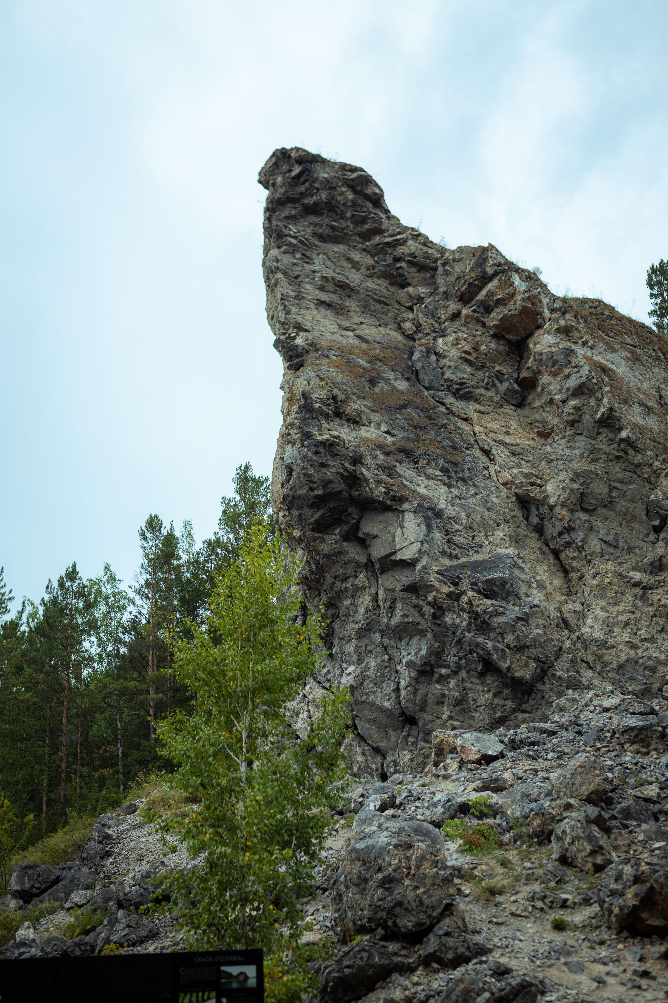 Красноярск (осень 2023). Фотограф Виноградов Константин