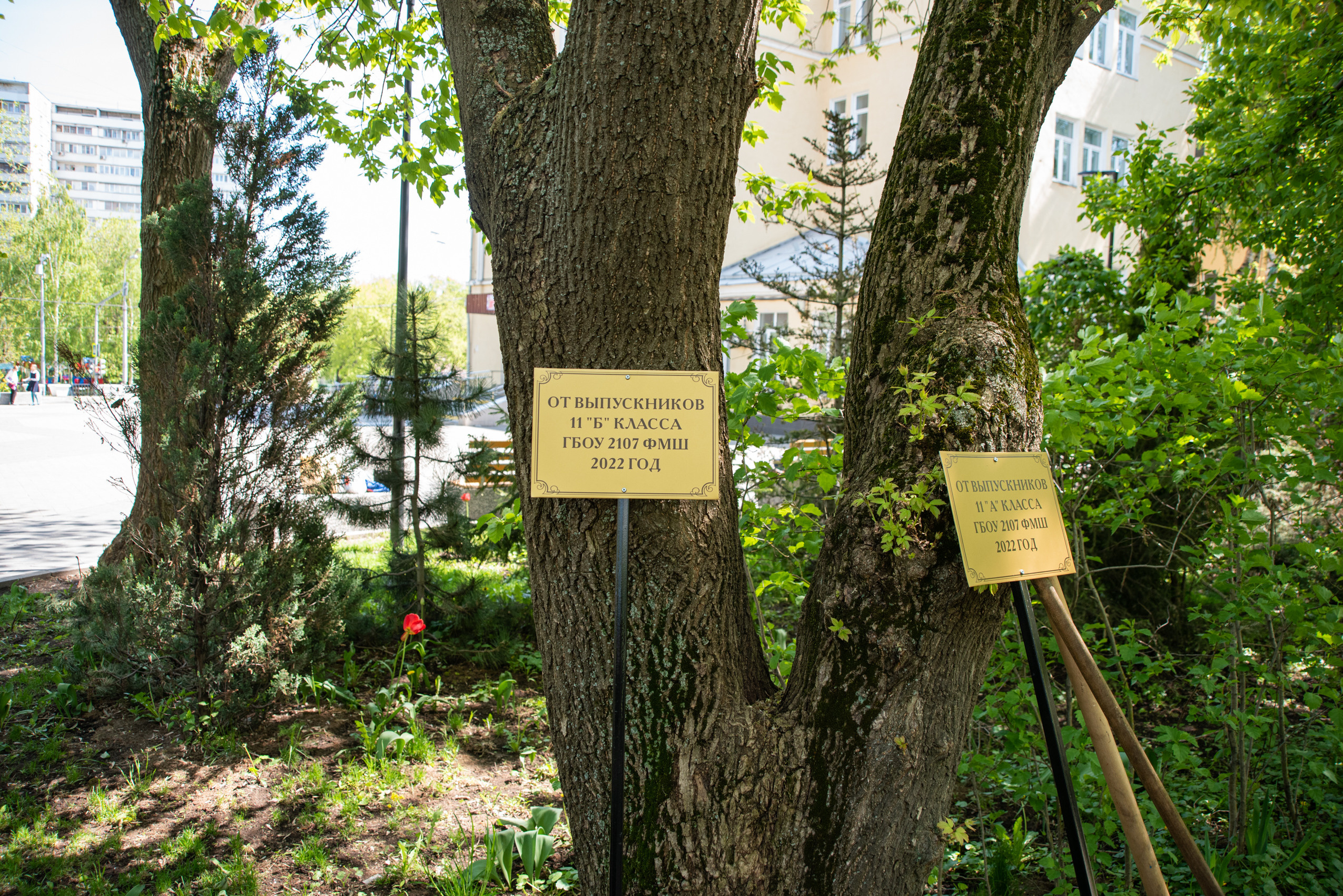 Последний звонок. Семейный фотограф в Москве Анна Коропова