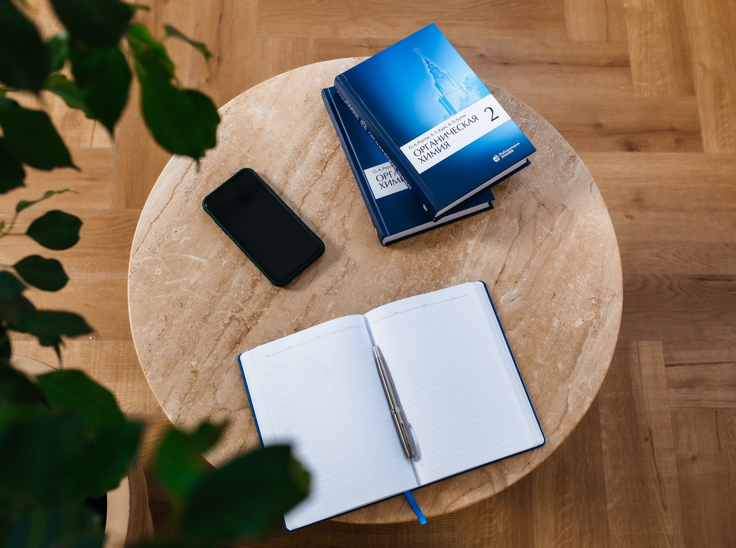 Деловая фотосессия в студии для контента. Фотограф Сочи Адлер. Солькаева Анастасия