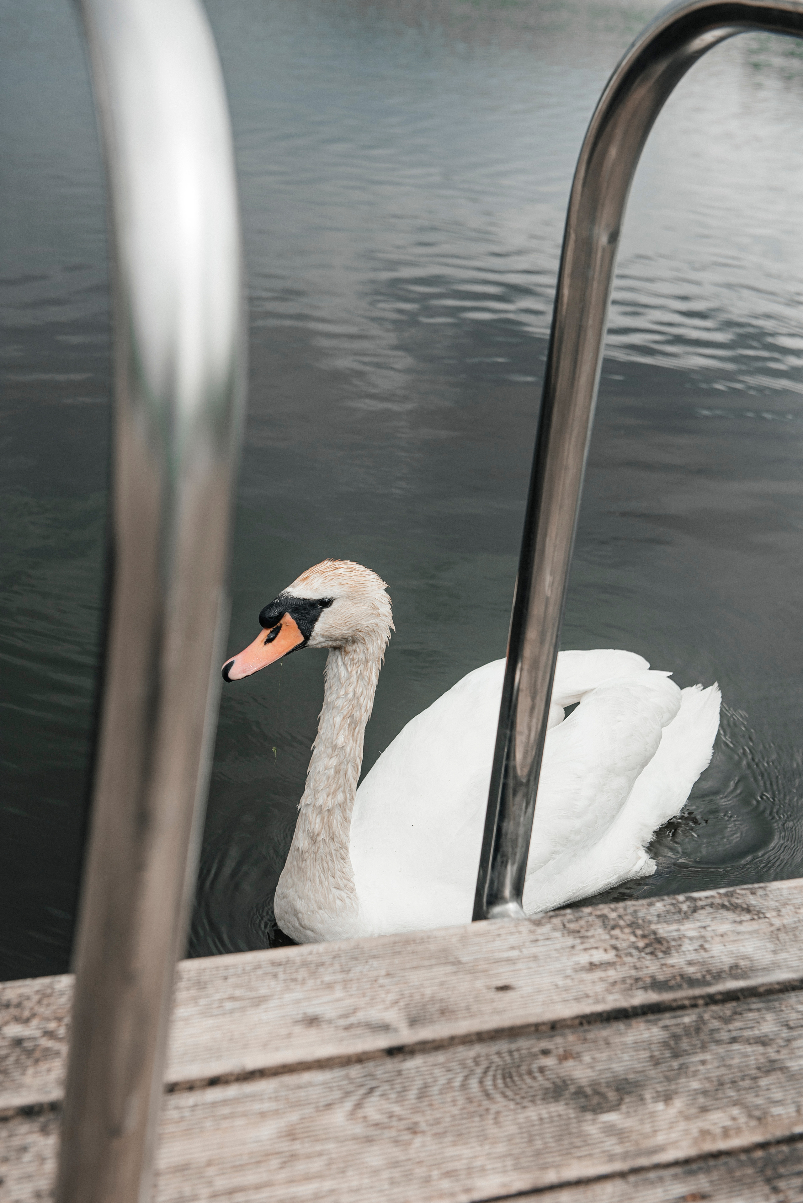 Kristina & Sergey. Свадебный и семейный фотограф | Екатерина Вяткина