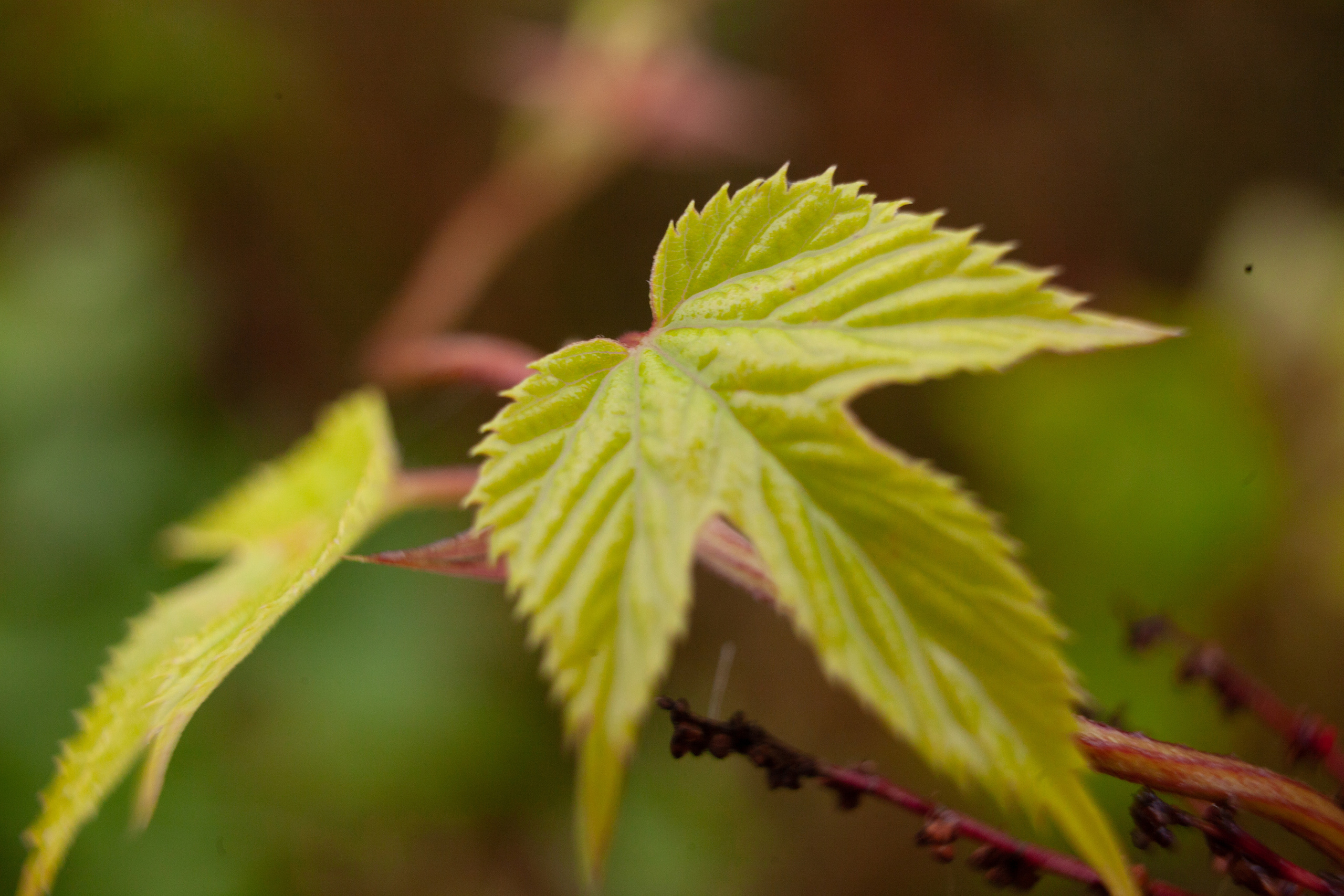 Дорожные путешествия 2021. Фотограф и ретушер Маргарита Павлюк Москва
