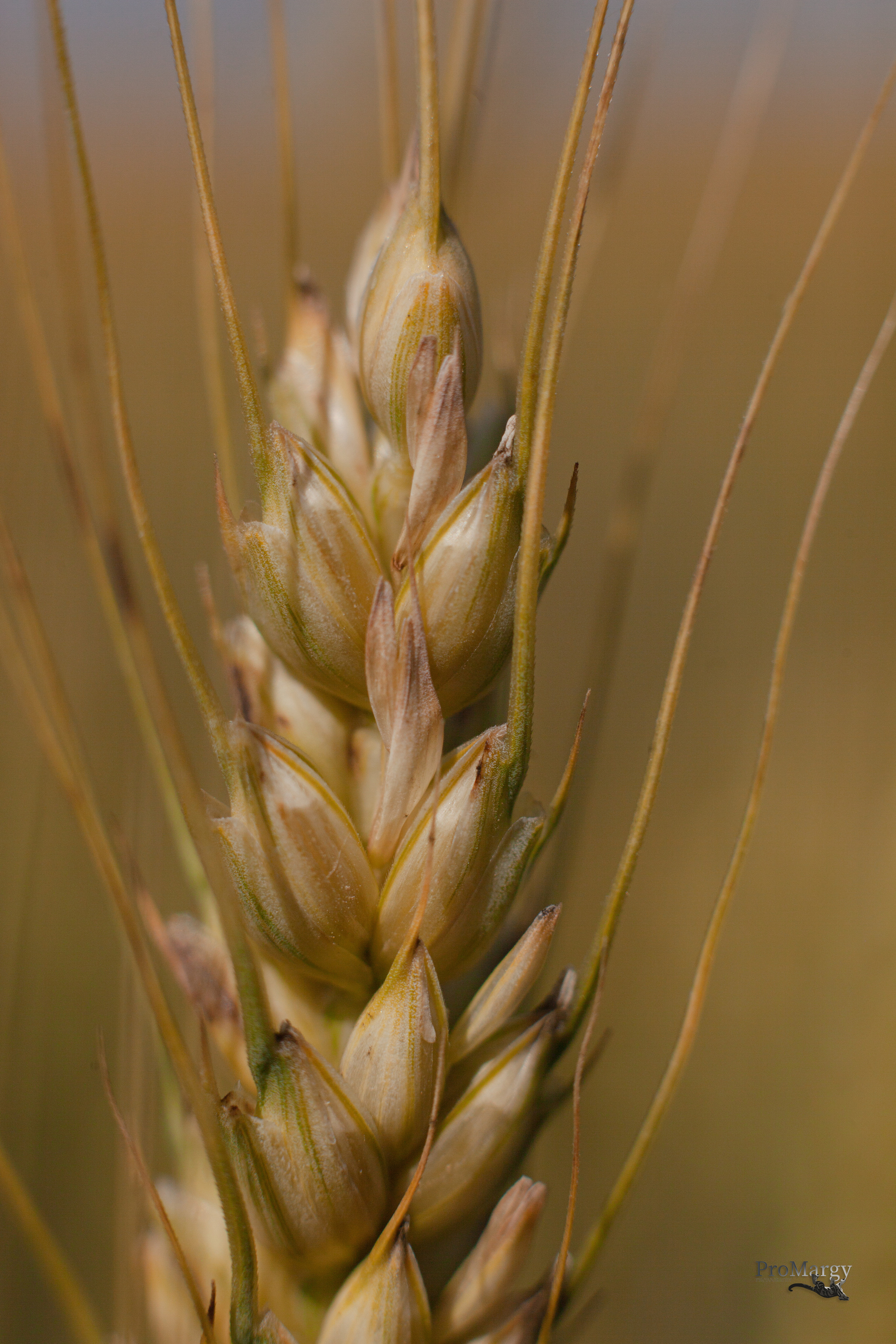 Дорожные путешествия 2021. Фотограф и ретушер Маргарита Павлюк Москва