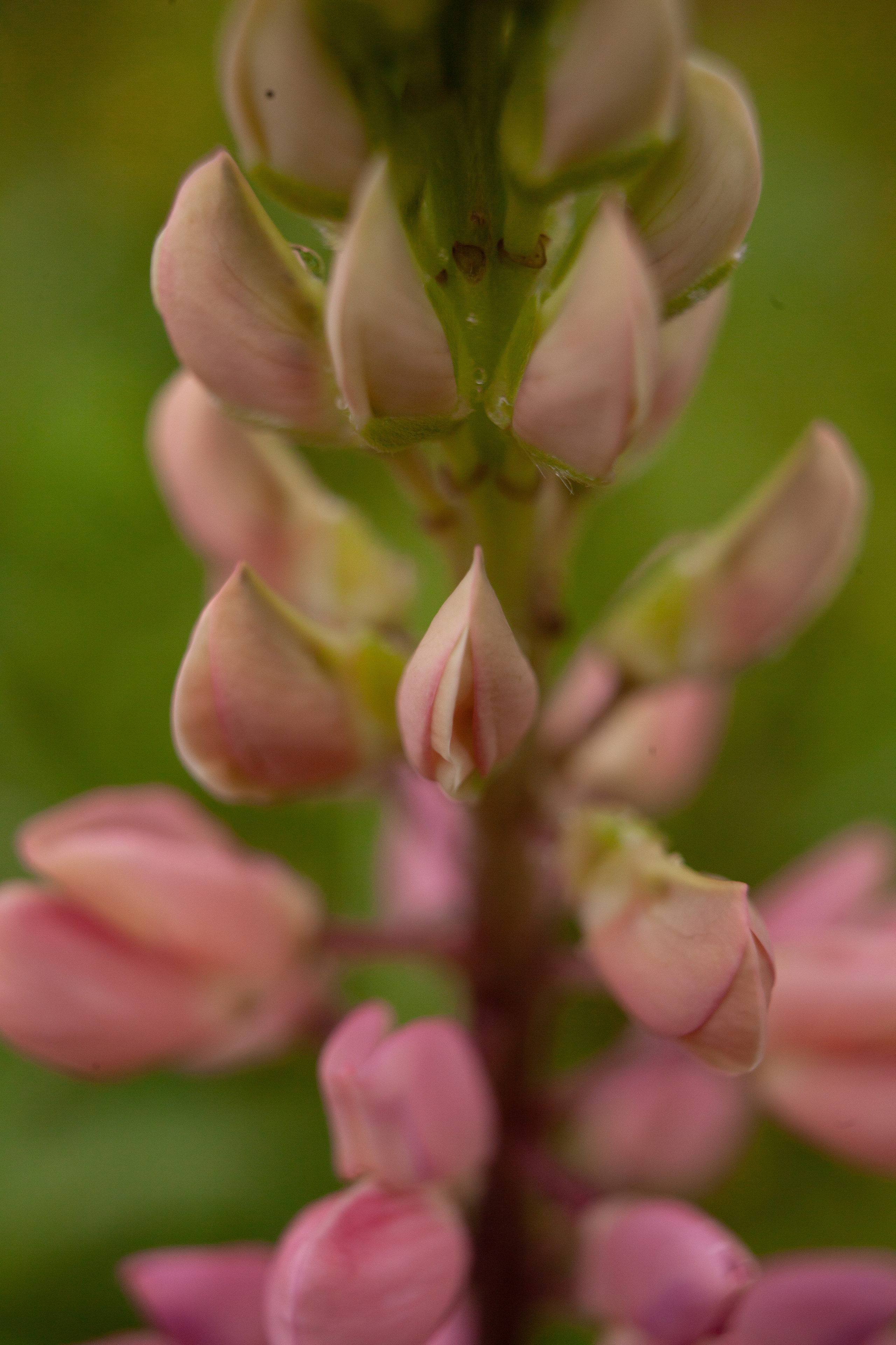 Дорожные путешествия 2021. Фотограф и ретушер Маргарита Павлюк Москва