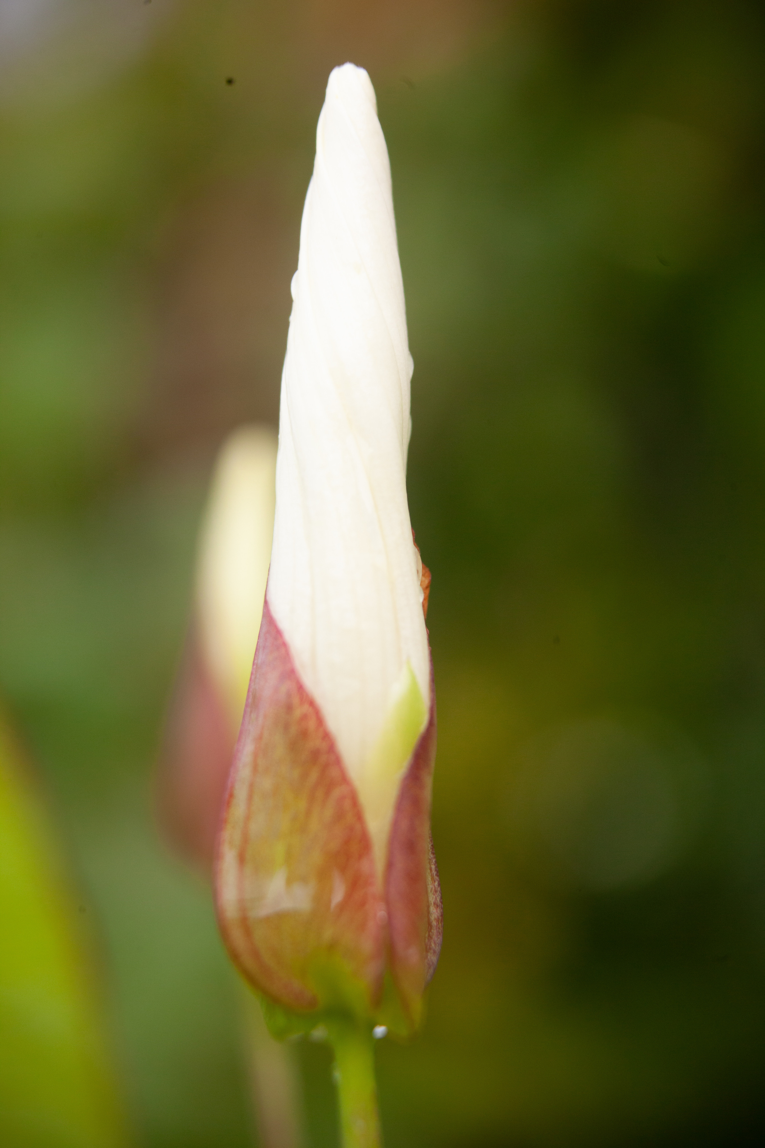 Дорожные путешествия 2021. Фотограф и ретушер Маргарита Павлюк Москва