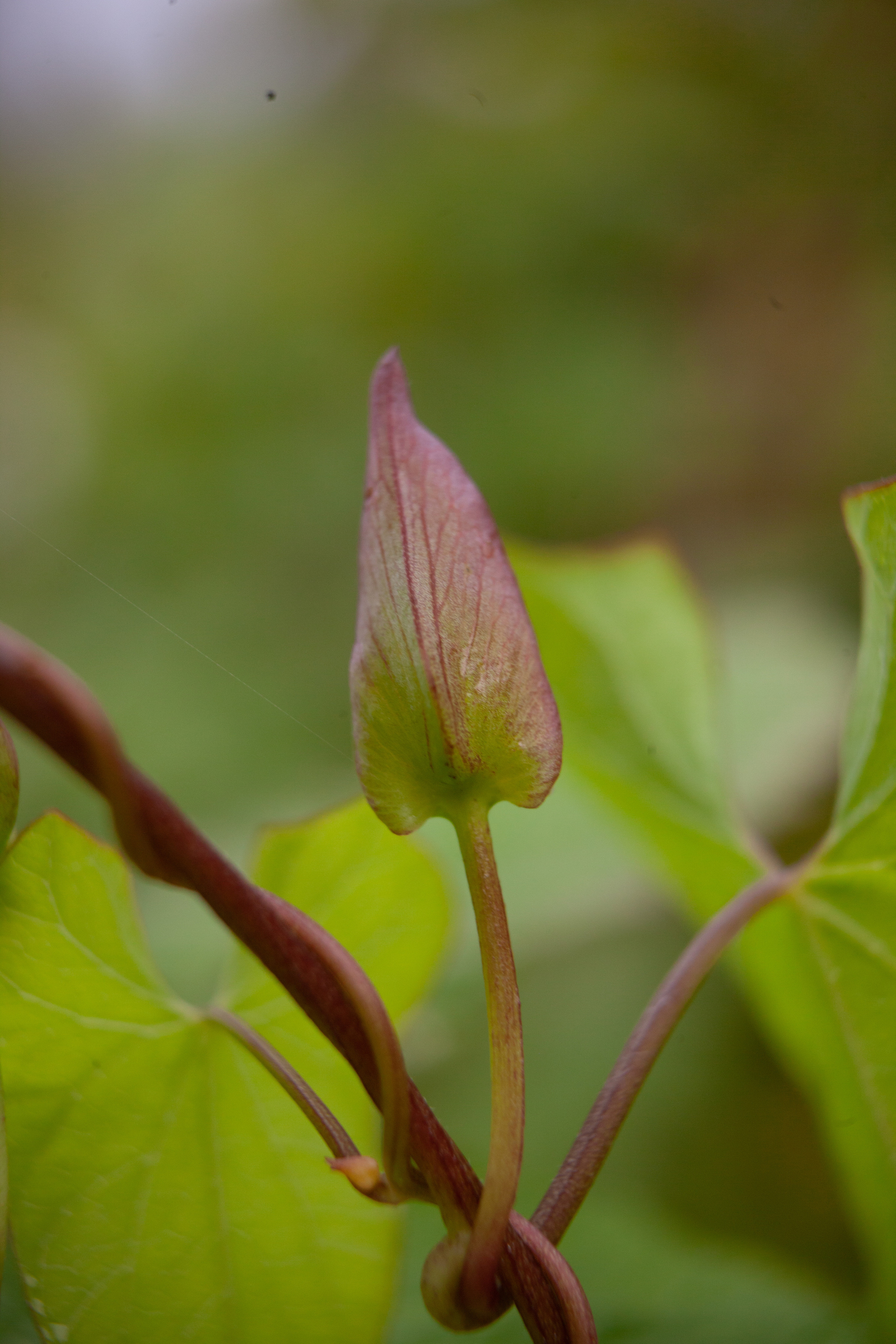 Дорожные путешествия 2021. Фотограф и ретушер Маргарита Павлюк Москва